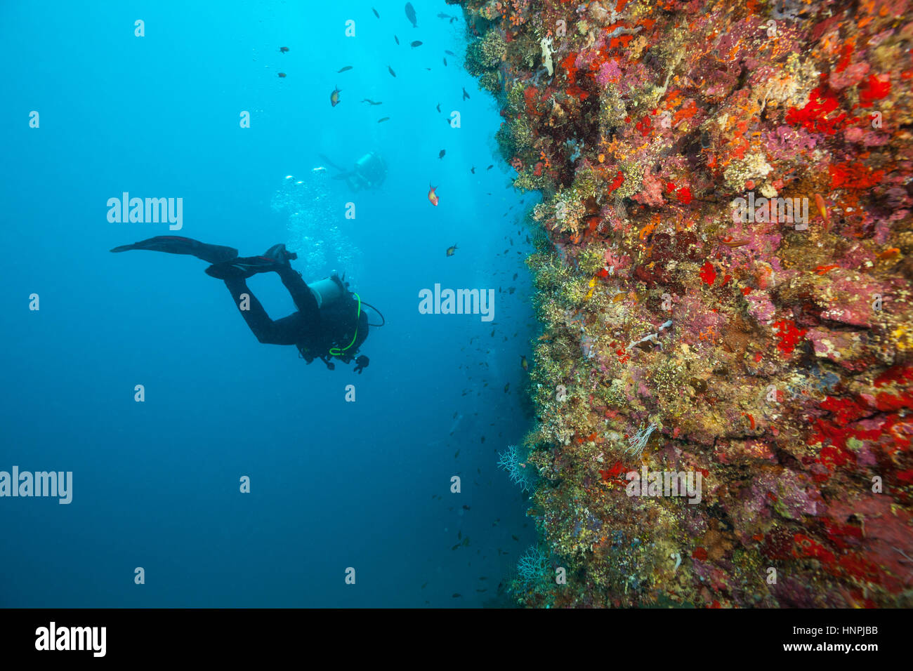 Gruppe von Tauchern Korallenriffe, Atolle der Malediven, Indischer Ozean zu erkunden. Viel schöne farbige kleine Fische und Weichkorallen im Vordergrund Stockfoto