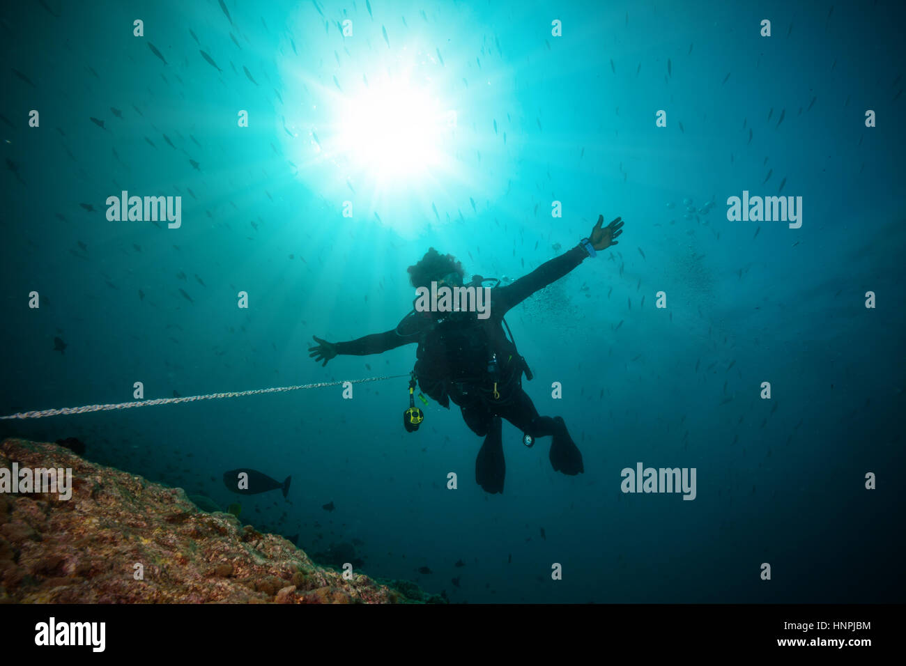 Silhouette der Mann Scuba Diver zwischen Oberfläche und Meer unten Wasser, angeschlossen am Riff Stockfoto