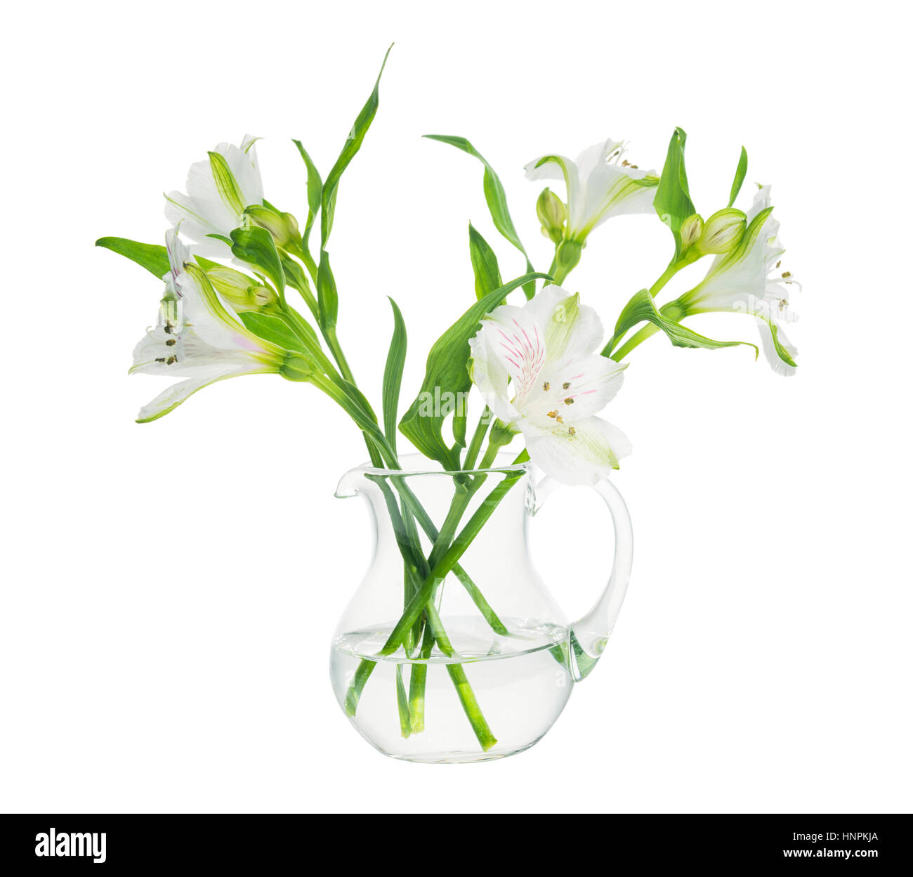 Blumenstrauß Alstroemeria in transparente Vase isoliert auf weißem Hintergrund, Nahaufnahme, mock up Stockfoto