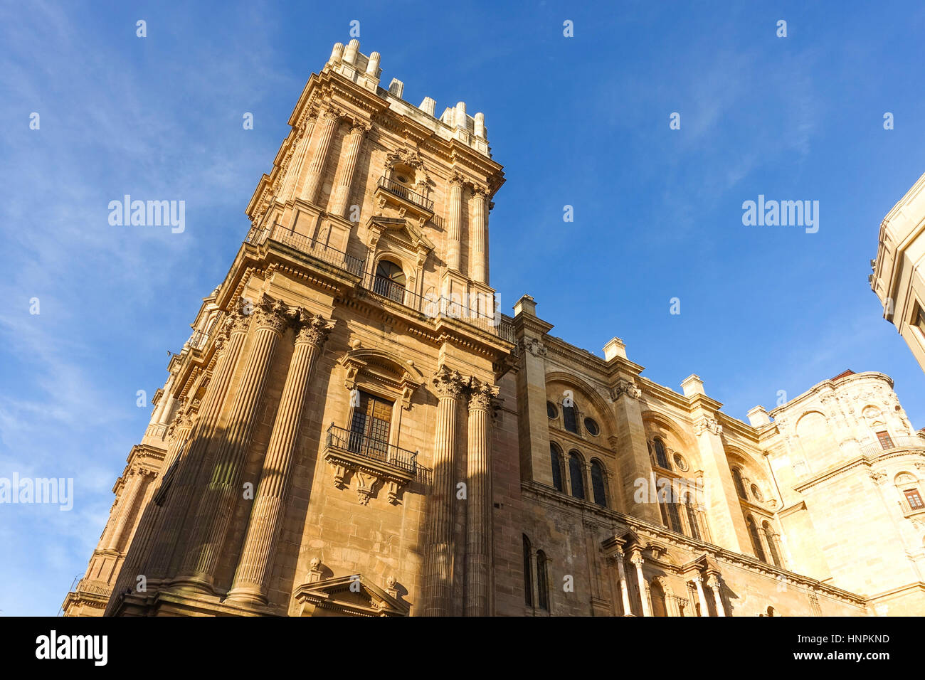 Die Kathedrale von Malaga, der Menschwerdung (Catedral de la Encarnation), mit unfertigen Glockenturm, Malaga, Andalusien, Spanien Stockfoto