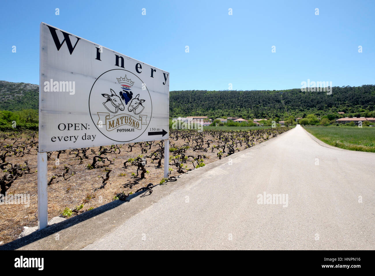 Matusko Weingut Schild am Straßenrand, Halbinsel Peljesac, Dalmatien, Kroatien Stockfoto