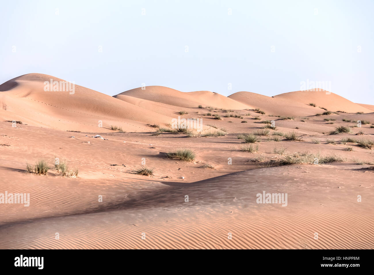Wahiba Sands, Oman, Mittlerer Osten, Asien Stockfoto