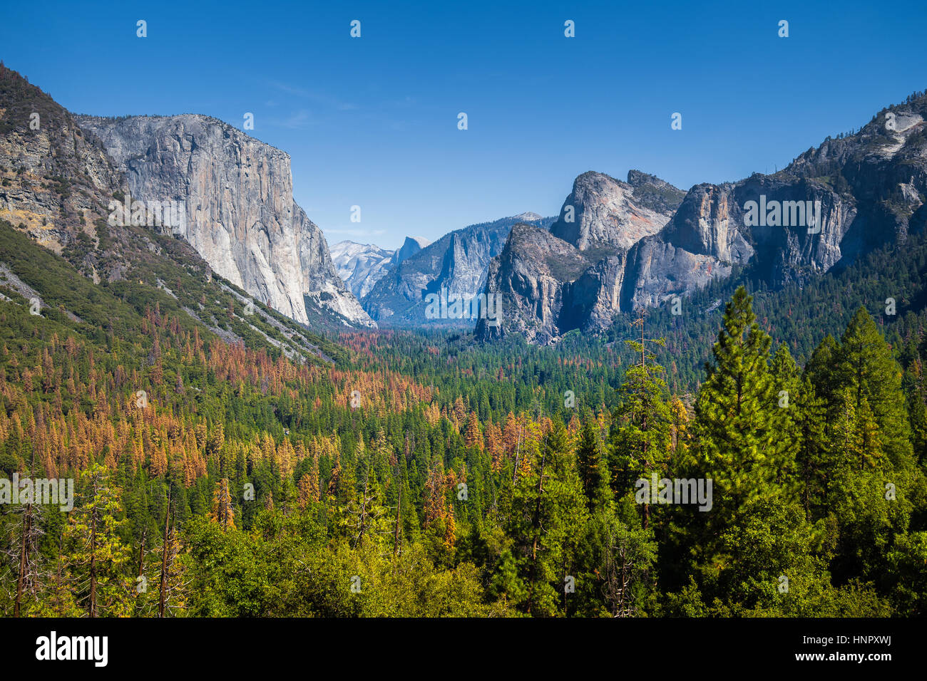 Tunnel-Standardansicht des malerischen Yosemite Valley mit berühmten El Capitan und Half Dome Klettern Gipfel an einem schönen Tag mit blauem Himmel, California Stockfoto