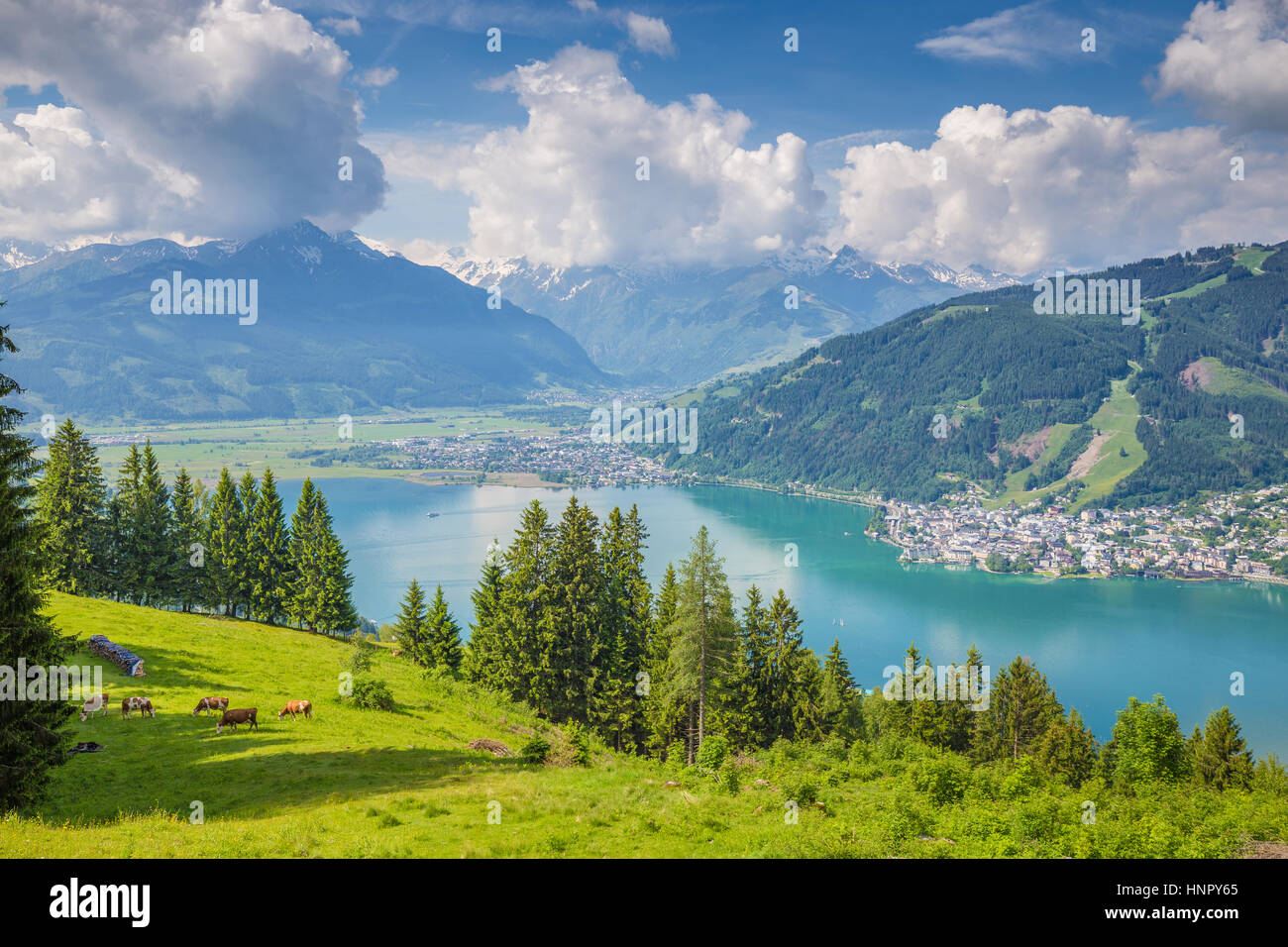 Schöne Landschaft in den Alpen mit klaren See und grüne Wiesen voller blühender Blumen an einem sonnigen Tag mit blauem Himmel und Wolken, Zell am See, Österreich Stockfoto