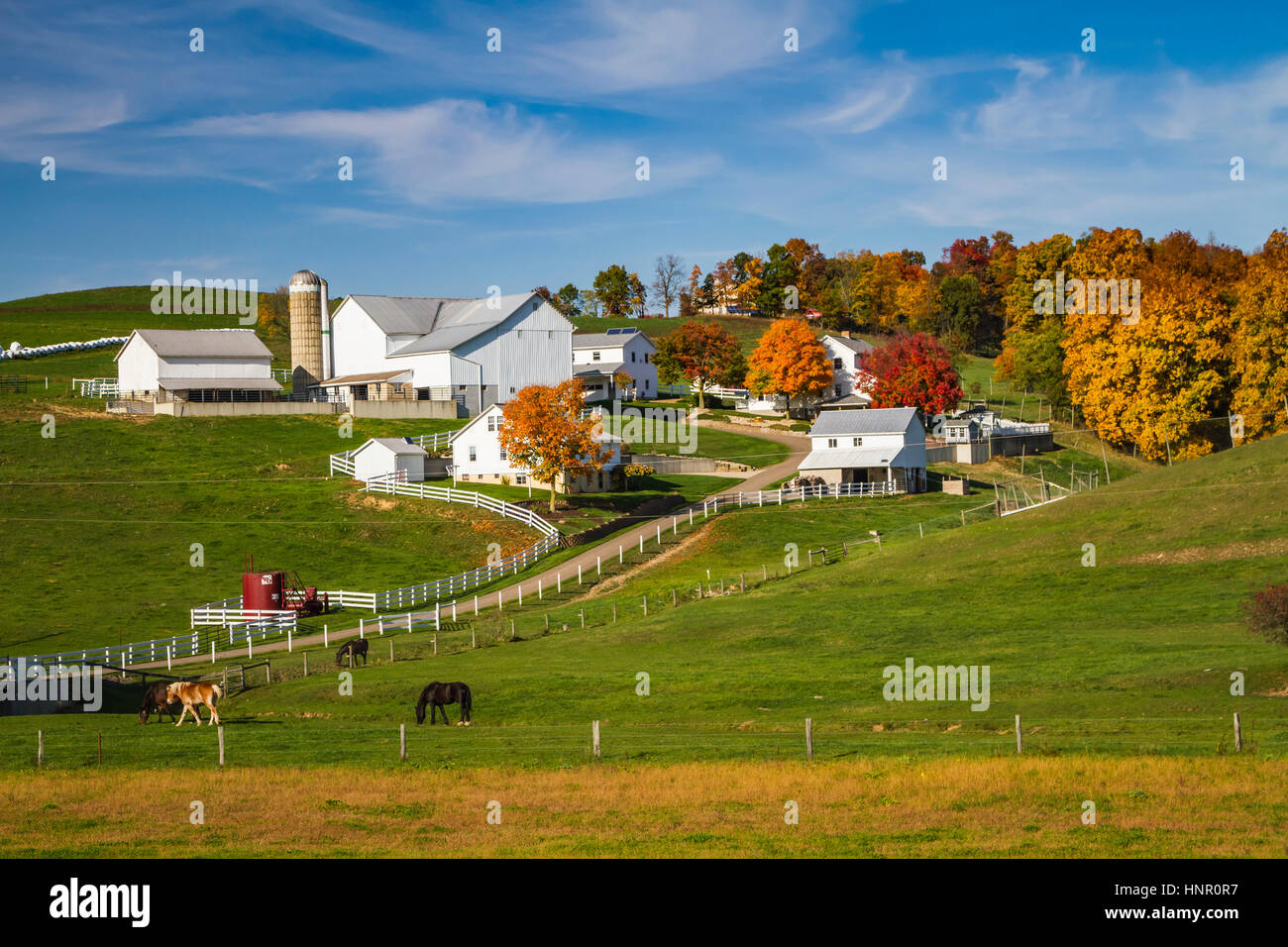 Ein amischer Farm mit Haus und Scheune in der Nähe von Charme, Ohio, USA. Stockfoto