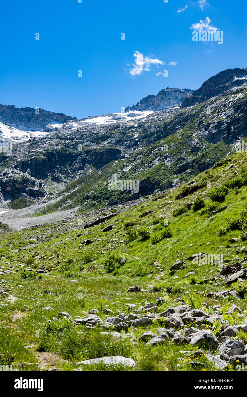 Tal "Vallon des Etages", Alpen, Saint-Christophe-En-Oisans, Isere, Frankreich. Wir sehen einen Gletscher über einige Gipfel Stockfoto
