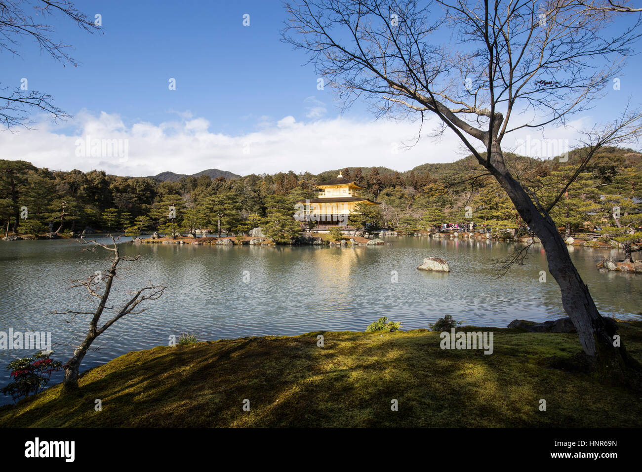 Kinkaku-Ji, (金閣寺, Goldener Pavillon) offiziell Rokuon-Ji genannt, ist ein Zen-buddhistischen Tempel in Kyoto, Japan Stockfoto