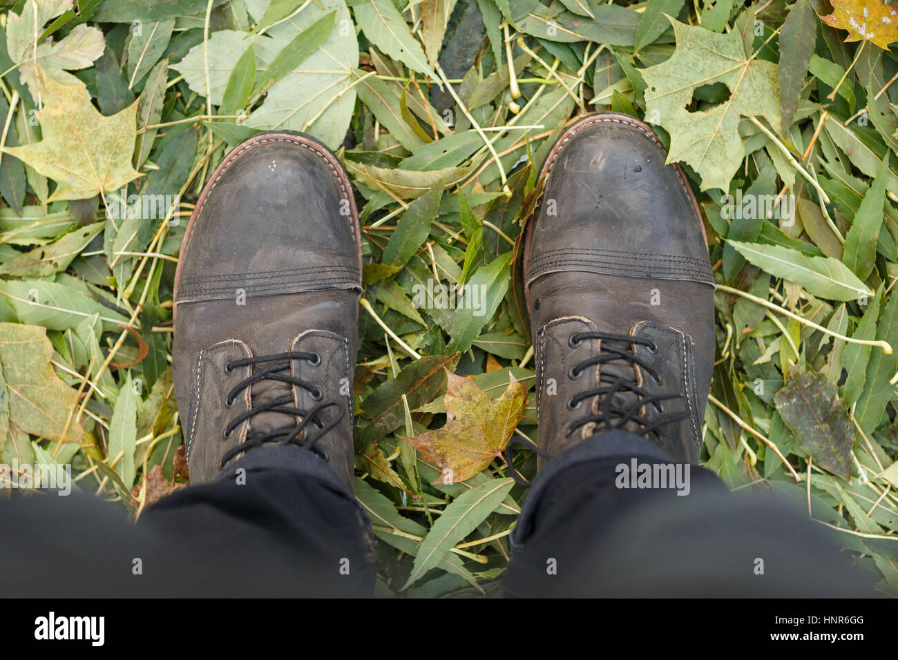 Stiefel stehen auf gefallene Blätter Stockfoto