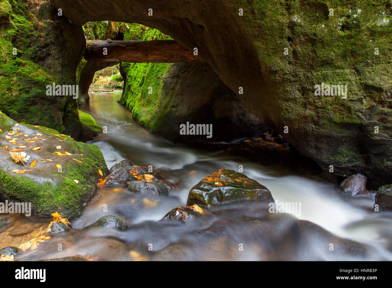 Kirnitzsch / Kirnischt Fluss fließt durch das Khaa-Tal / Khaatal / Kyjovske Údoli, Nationalpark Böhmische Schweiz, Tschechische Republik Stockfoto