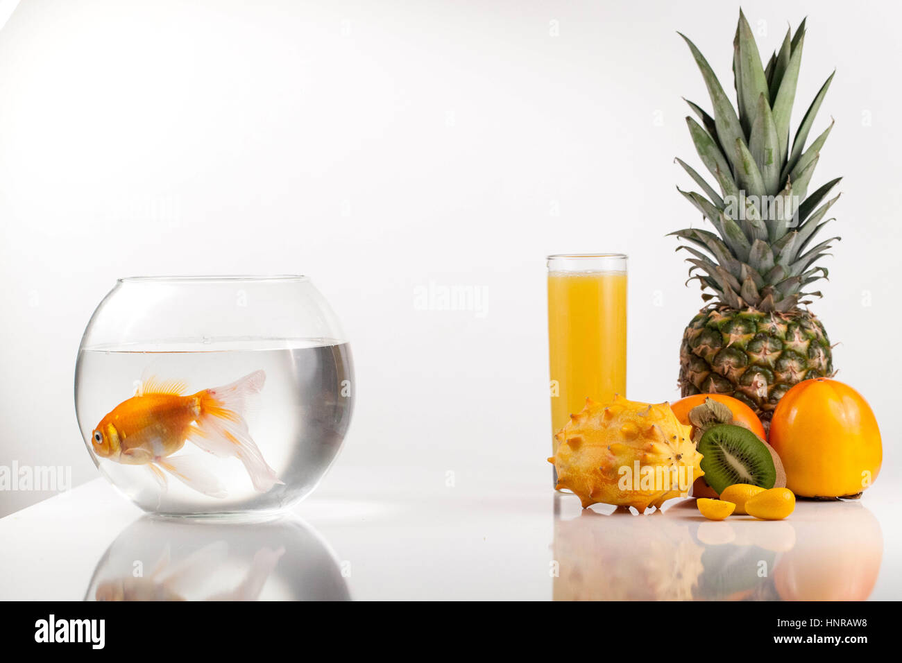 Tropische Früchte und Aquarium mit Goldfisch. Komposition auf weißem Hintergrund Stockfoto