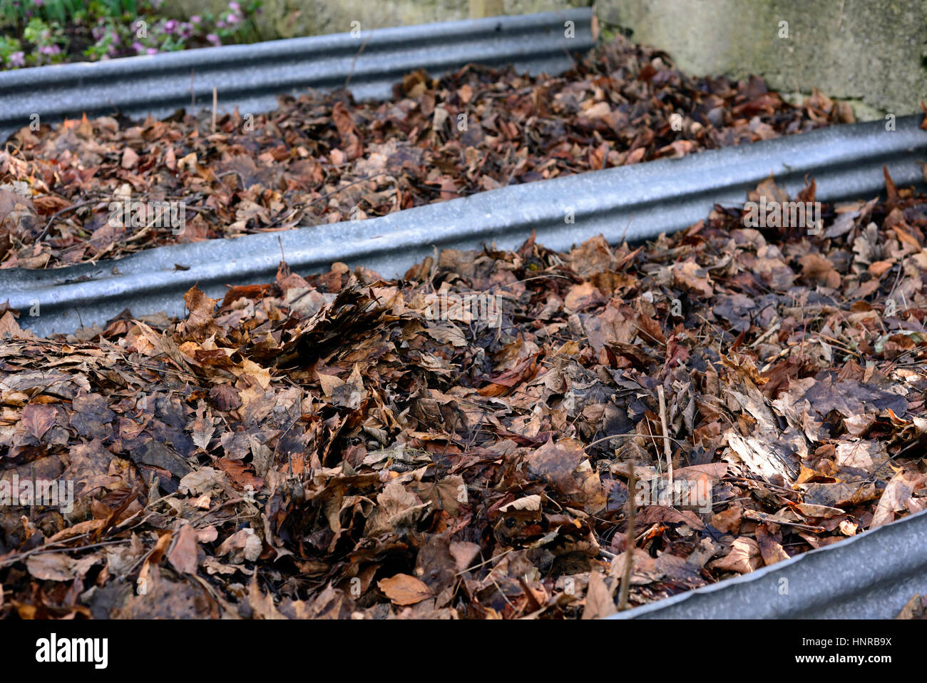 Blatt-Form, Bodenverbesserer, Recyclingbehälter, Silo, Silos, Fäule, Fäulnis, Reifen, natürlich, organisch, Mulch, Laubdecken, vorbereiten, vorbereiten, machen, machen Stockfoto
