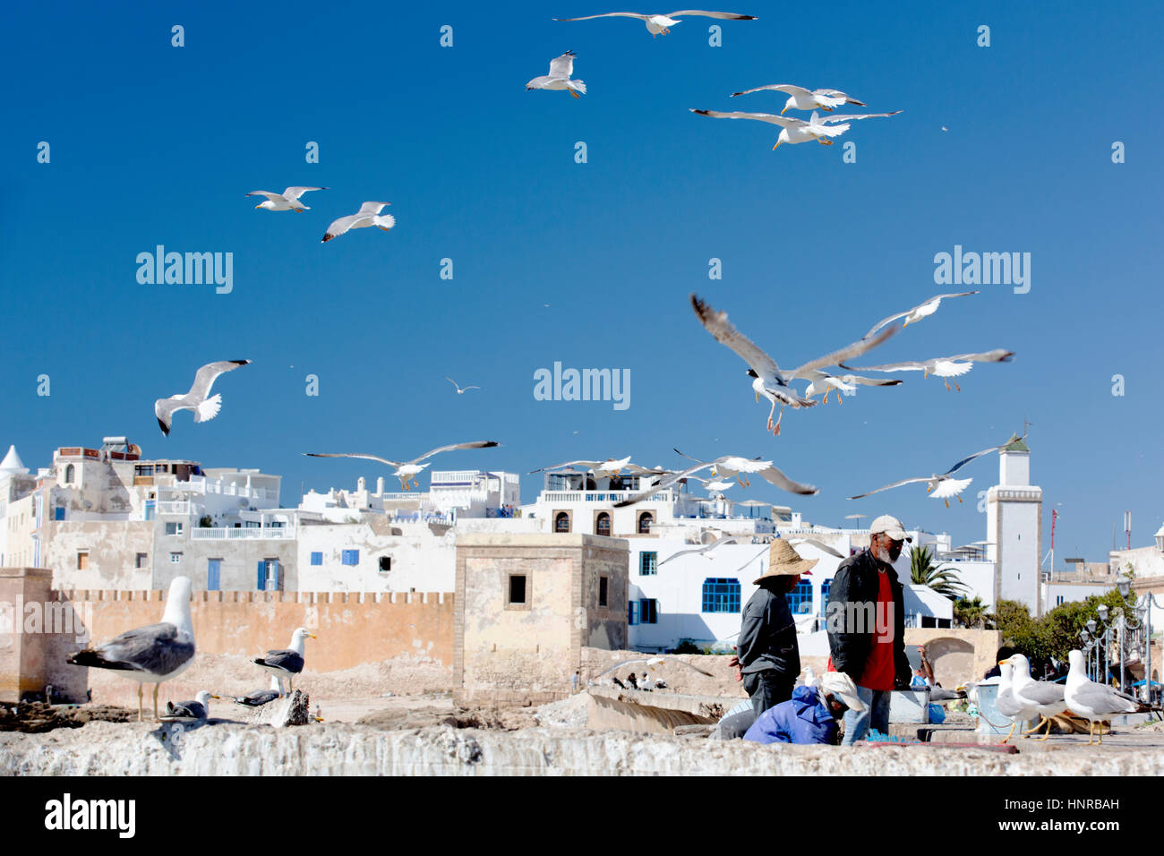 Stock Foto - Möwen-Kreis um den Fischern am Kai von der Skala De La Ville in Essaouira in Marokko, Nordafrika Stockfoto