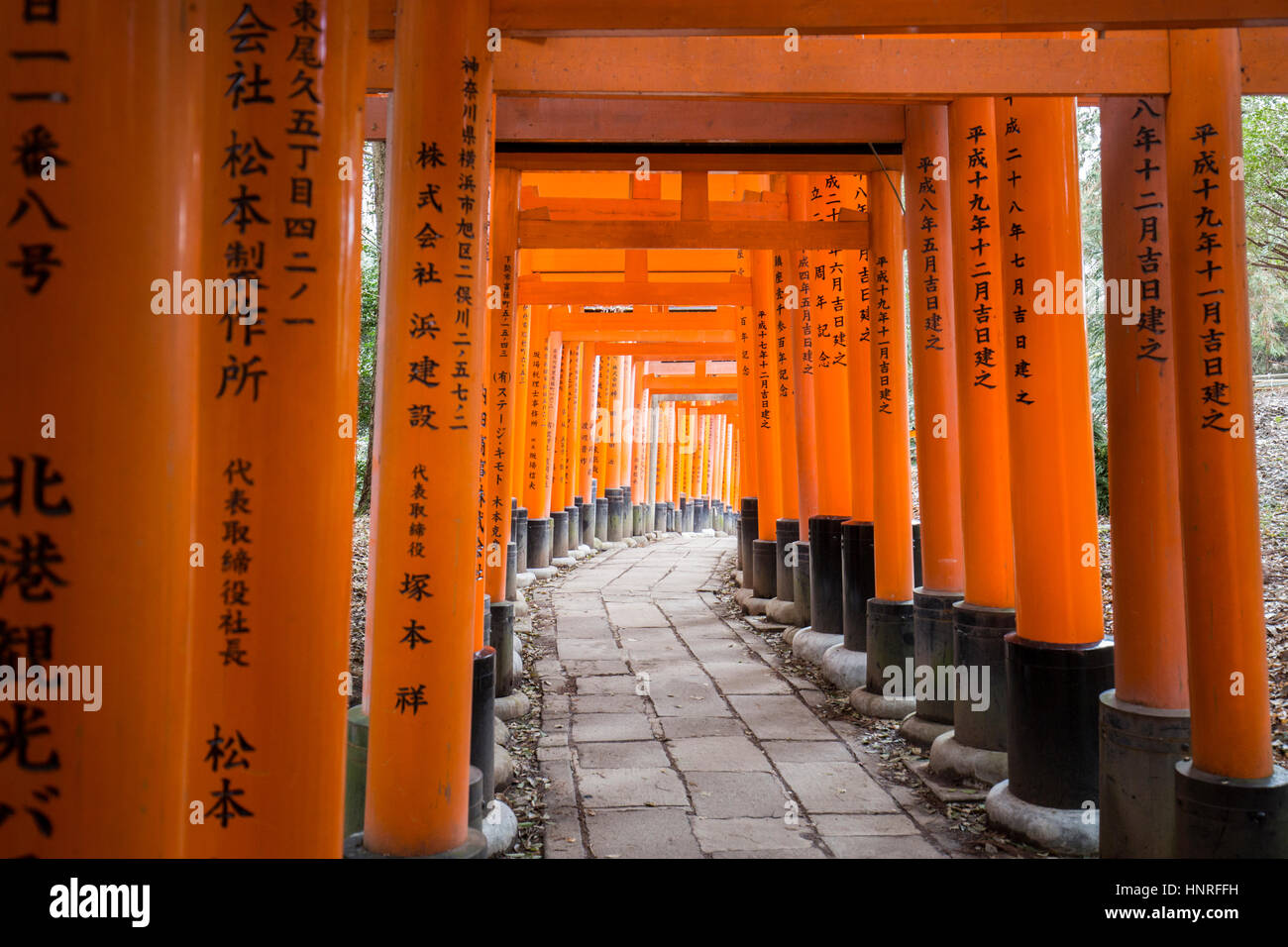 Fushimi-Inari-Schrein (伏見稲荷大社, Fushimi Inari-Taisha) ist eine wichtige Shinto-Schrein im südlichen Kyoto. Stockfoto