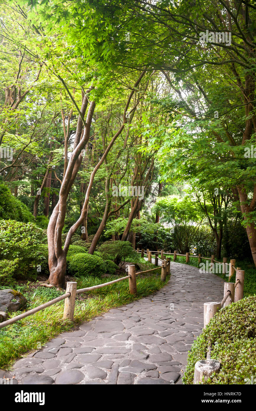 Einen gepflasterten Gartenweg, gesäumt von Bäumen im Sommer Stockfoto