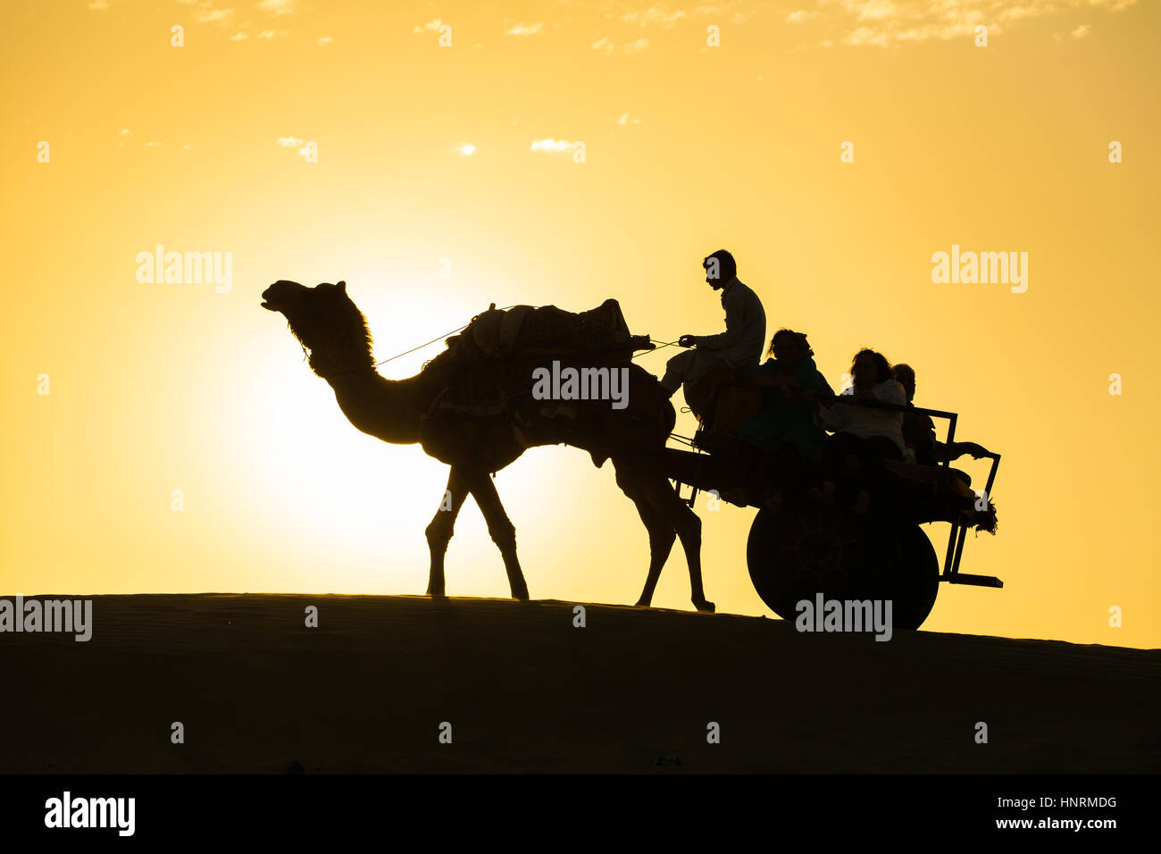 Rajasthan Reisen Hintergrund - Kamel-Silhouette mit dem Wagen in die Dünen der Wüste Thar am Sonnenuntergang. Jaisalmer, Rajasthan, Indien Stockfoto