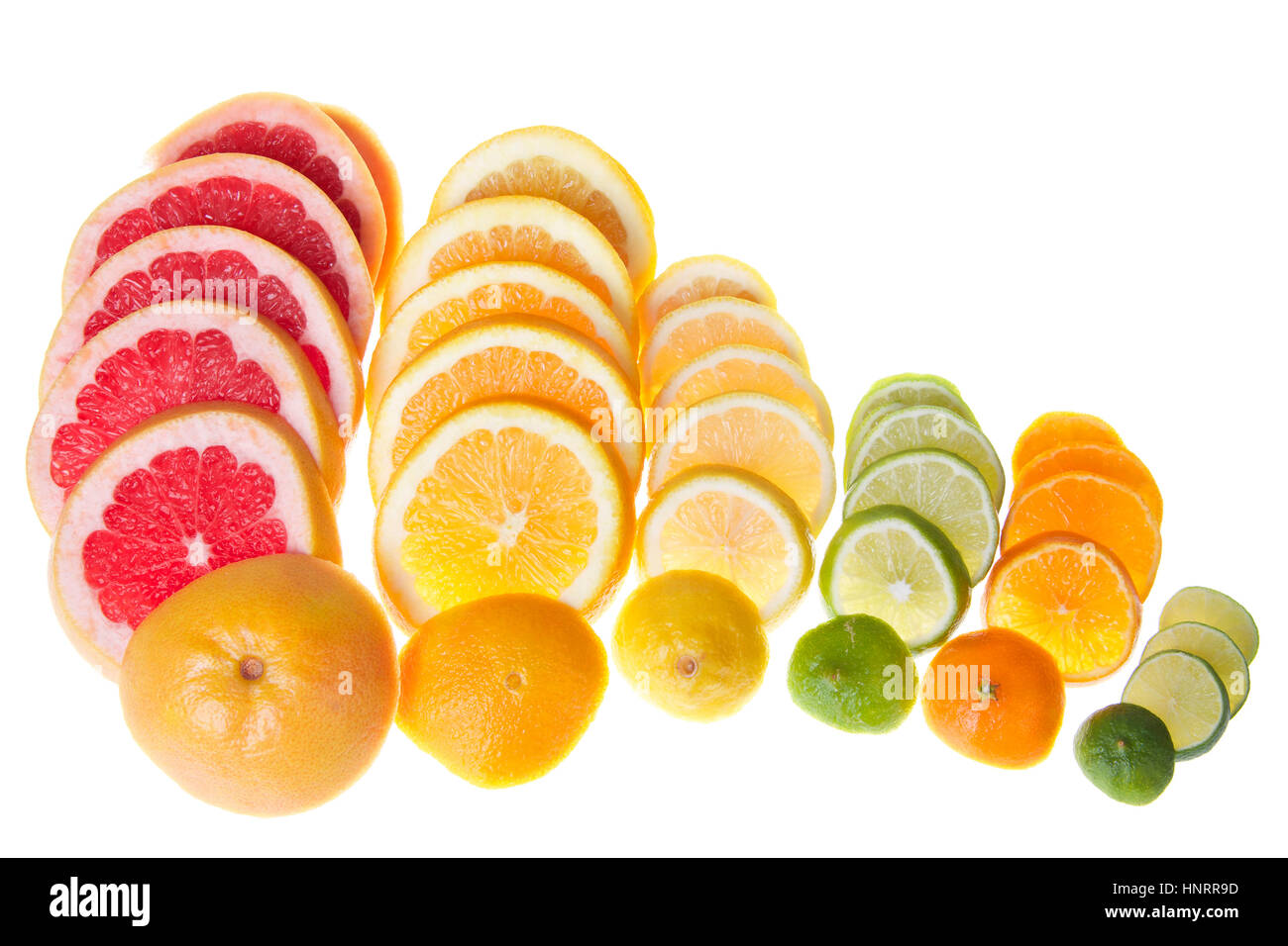 Bunte Scheiben Zitrusfrüchte in Reihen isoliert auf weißem Hintergrund aufgestellt. Grapefruit, Marine Orange, Zitrone, Limette, Cuties Clementine und einen Key lime Stockfoto