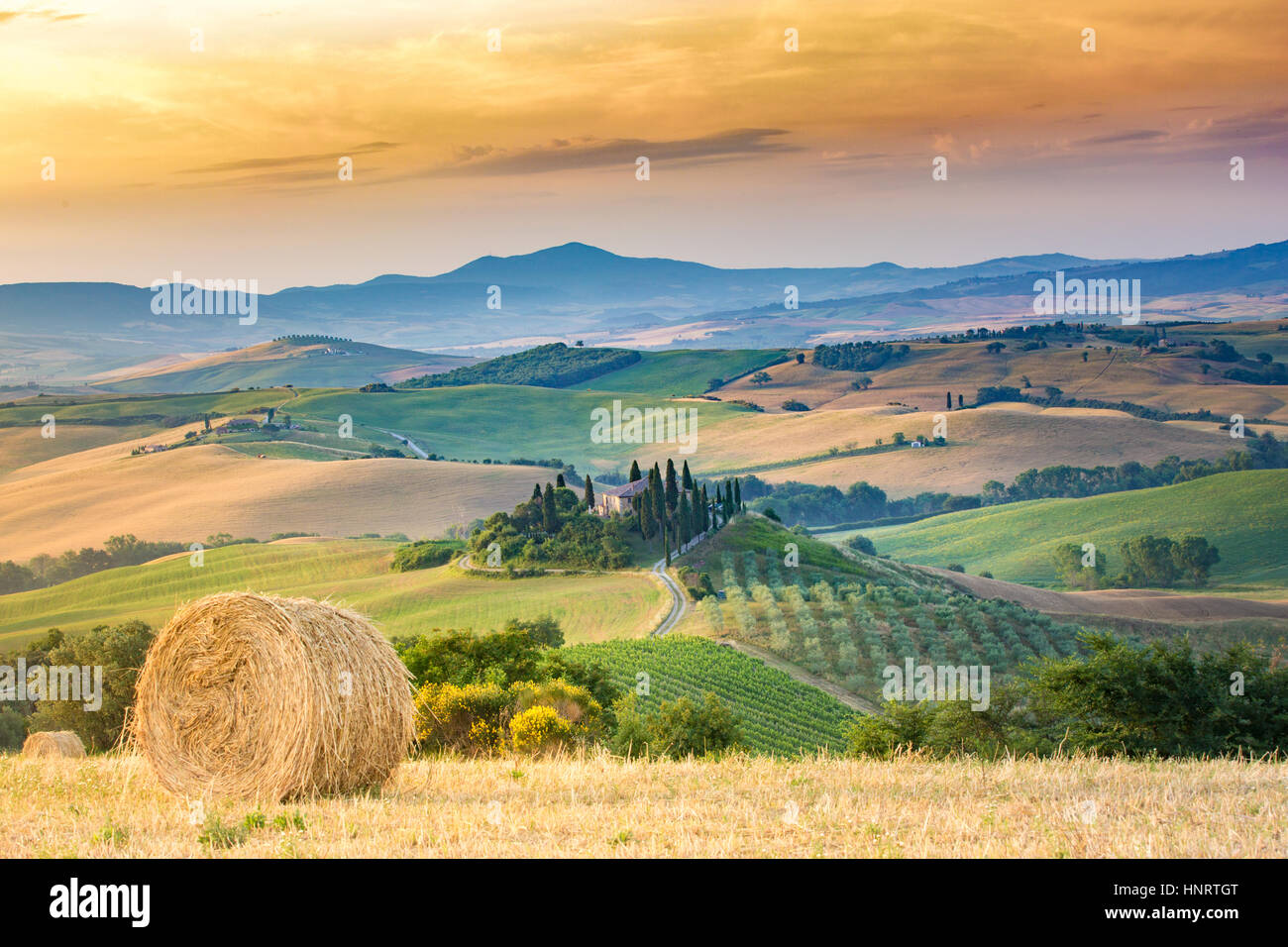 Toskana, Val d ' Orcia. Sanfte Hügel und Landschaft, Italien Stockfoto