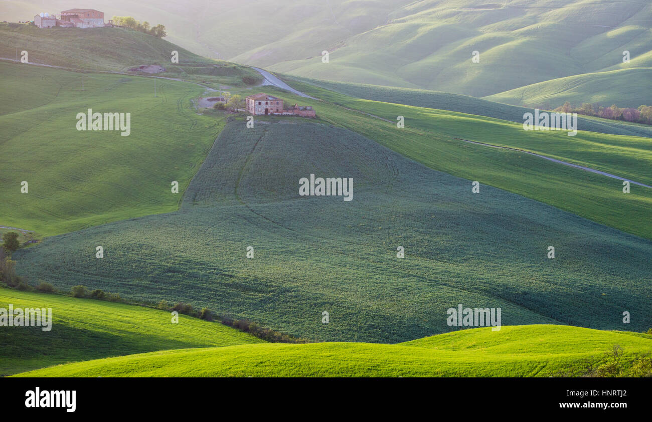 Toskana, grüne Landschaft und sanften Hügeln. Italien Stockfoto