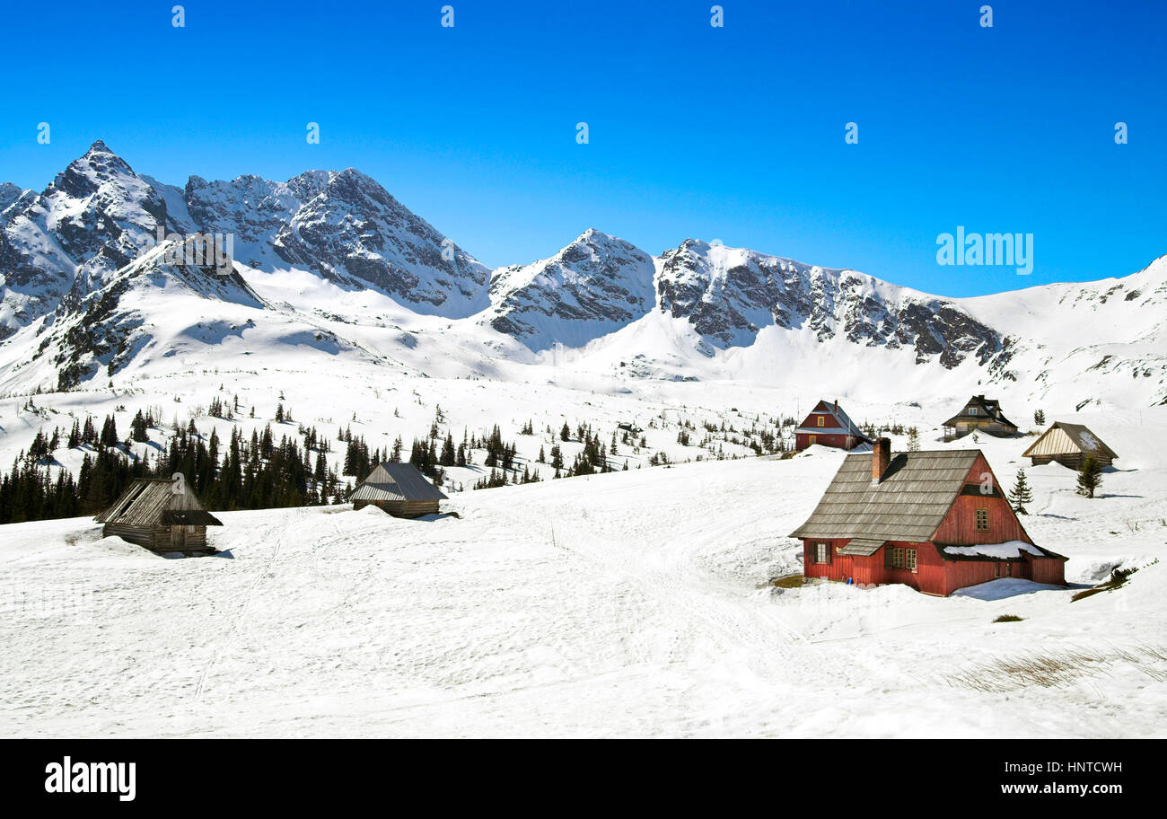 GASIENICOWA Tal-hohe Tatra-Polen-Europa Stockfoto