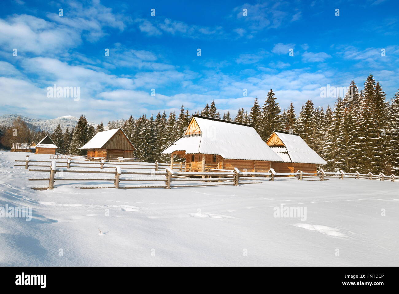 Winter Schneelandschaft, Chocholowska Tal, Tatra-Gebirge, Polen Stockfoto