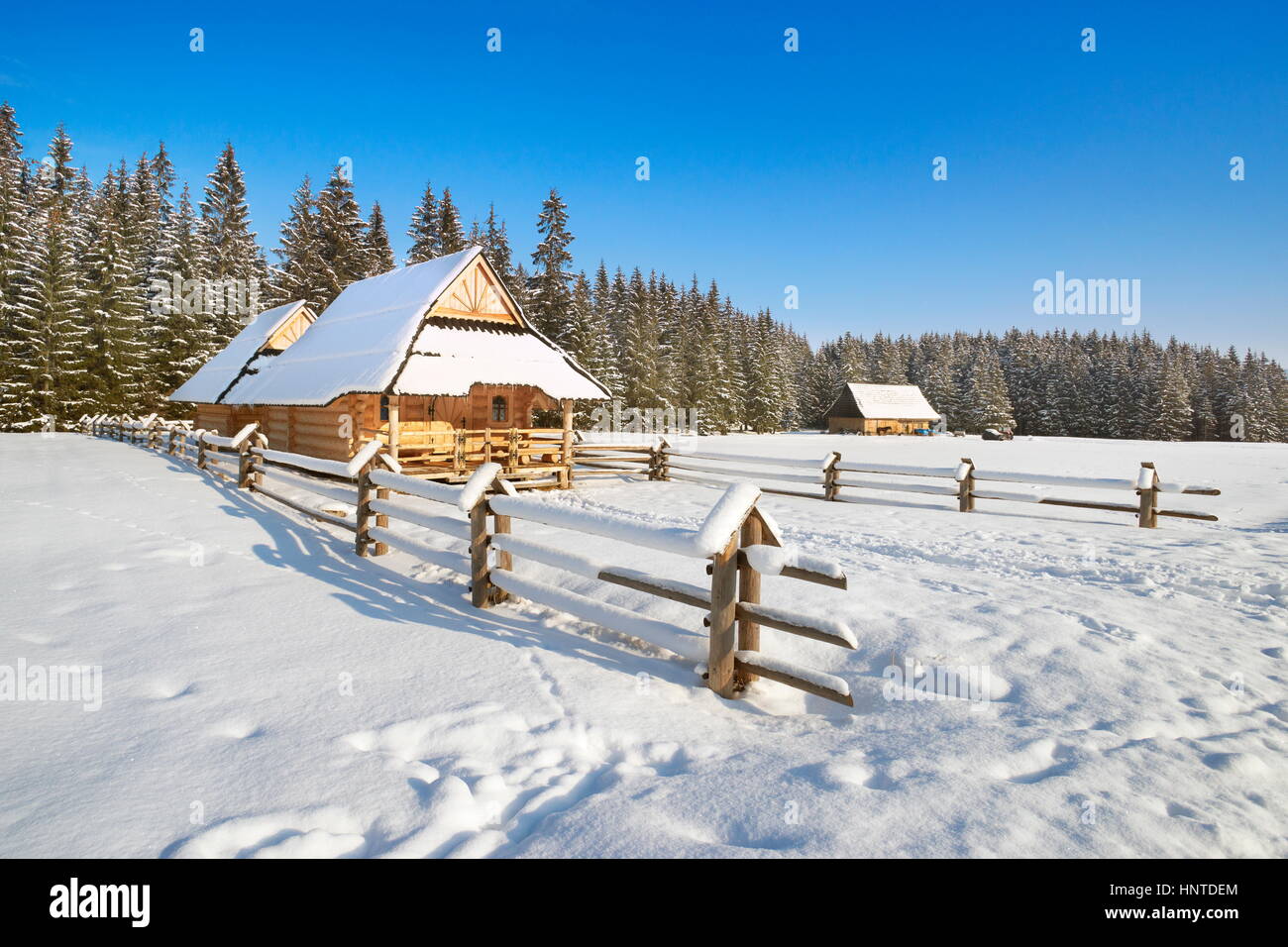 Winter Schneelandschaft, Chocholowska Tal, Zakopane, hohe Tatra, Polen Stockfoto