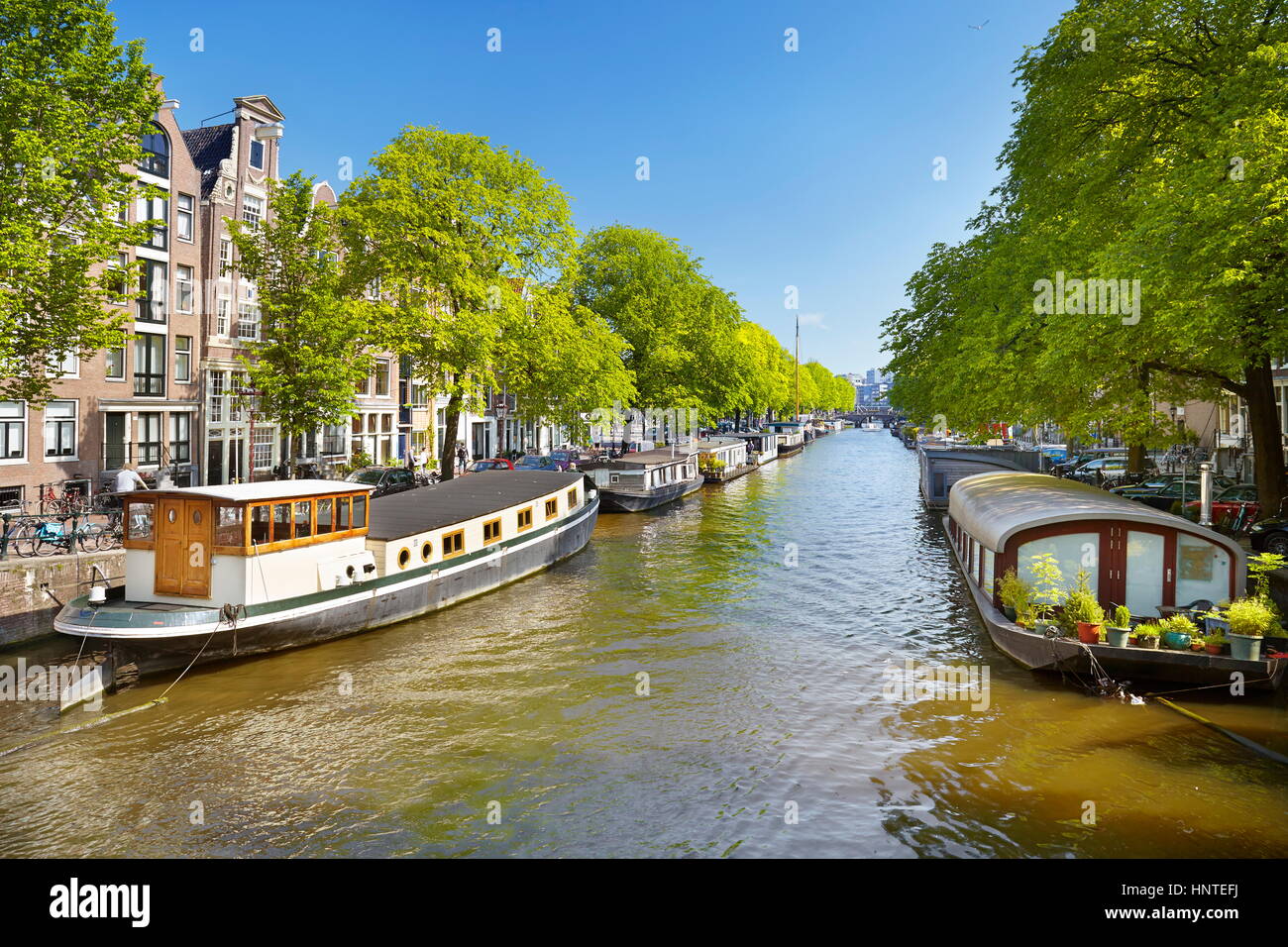 Schne Bernachtung Amsterdam Hausboot Bild