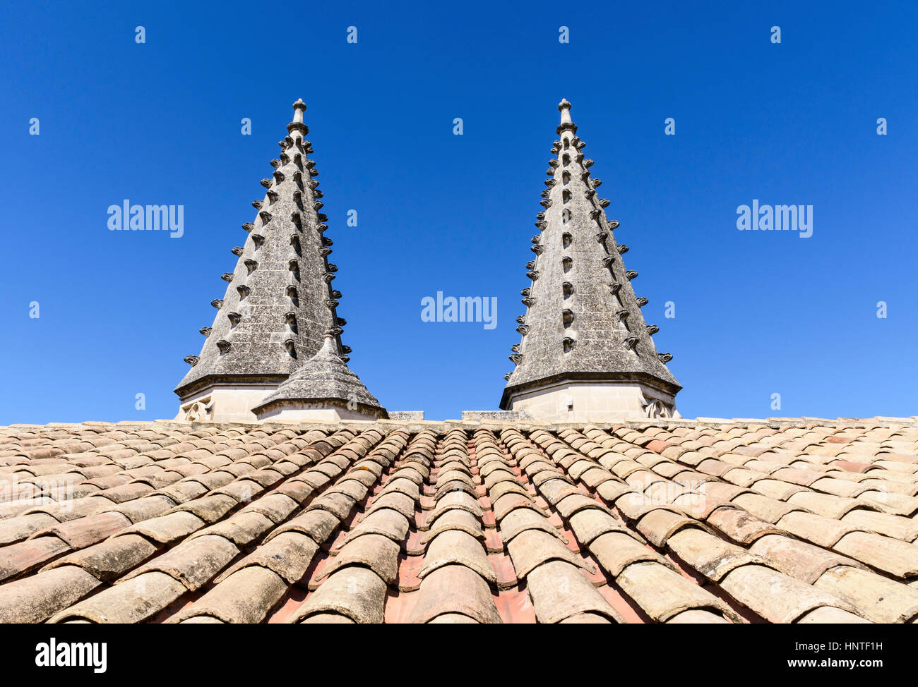 Architektonisches Detail der zwei Türme des Palais Neuf, Palais des Papes, Avignon, Frankreich Stockfoto