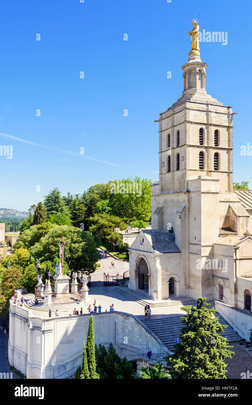 Glockenturm und Vorplatz der Kathedrale römisch-katholisch Avignon, Avignon, Frankreich Stockfoto