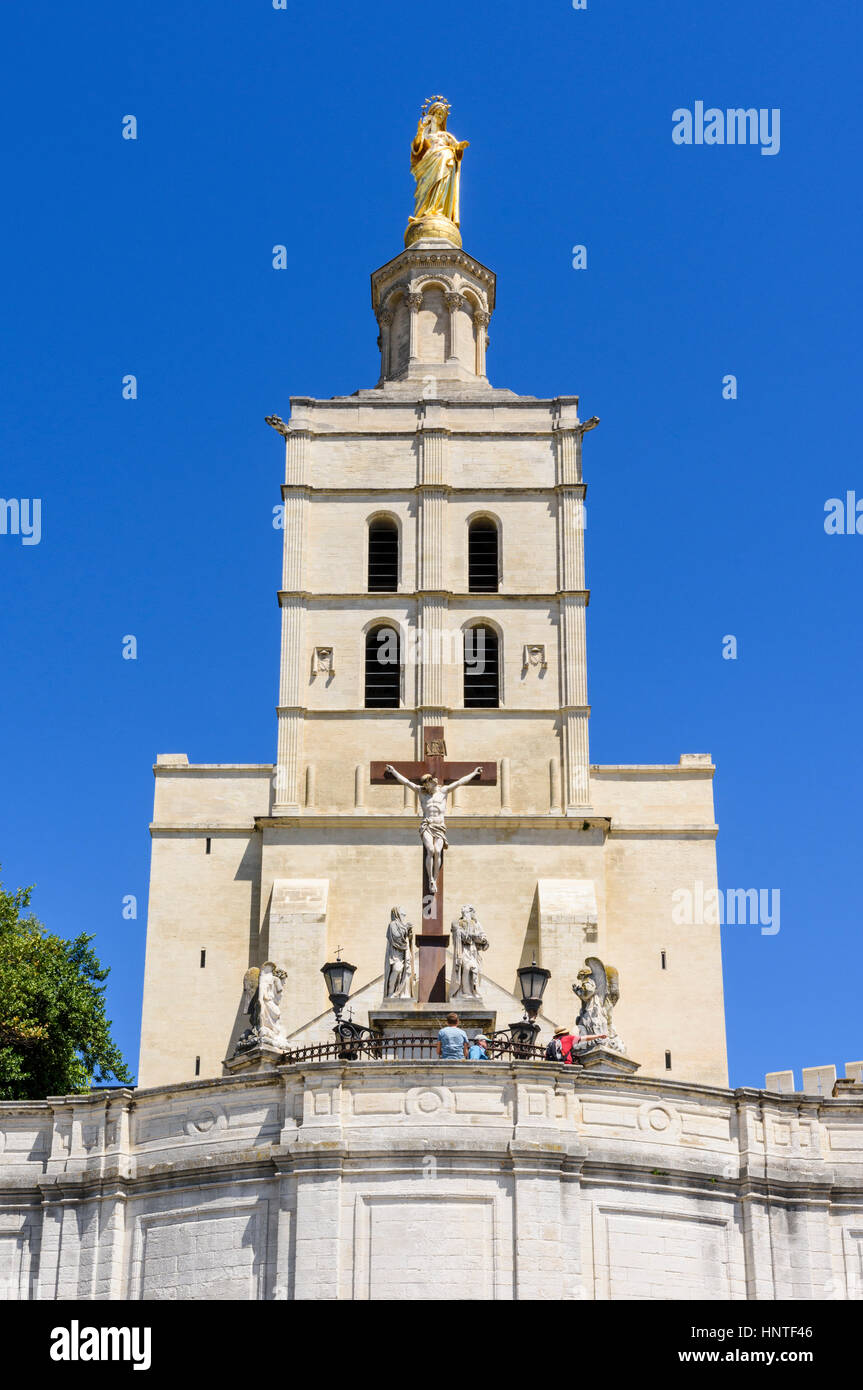 Vorplatz und Fassade der römisch-katholischen Avignon Kathedrale mit vergoldete Statue der Jungfrau Maria oben auf dem Glockenturm, Avignon, Frankreich Stockfoto