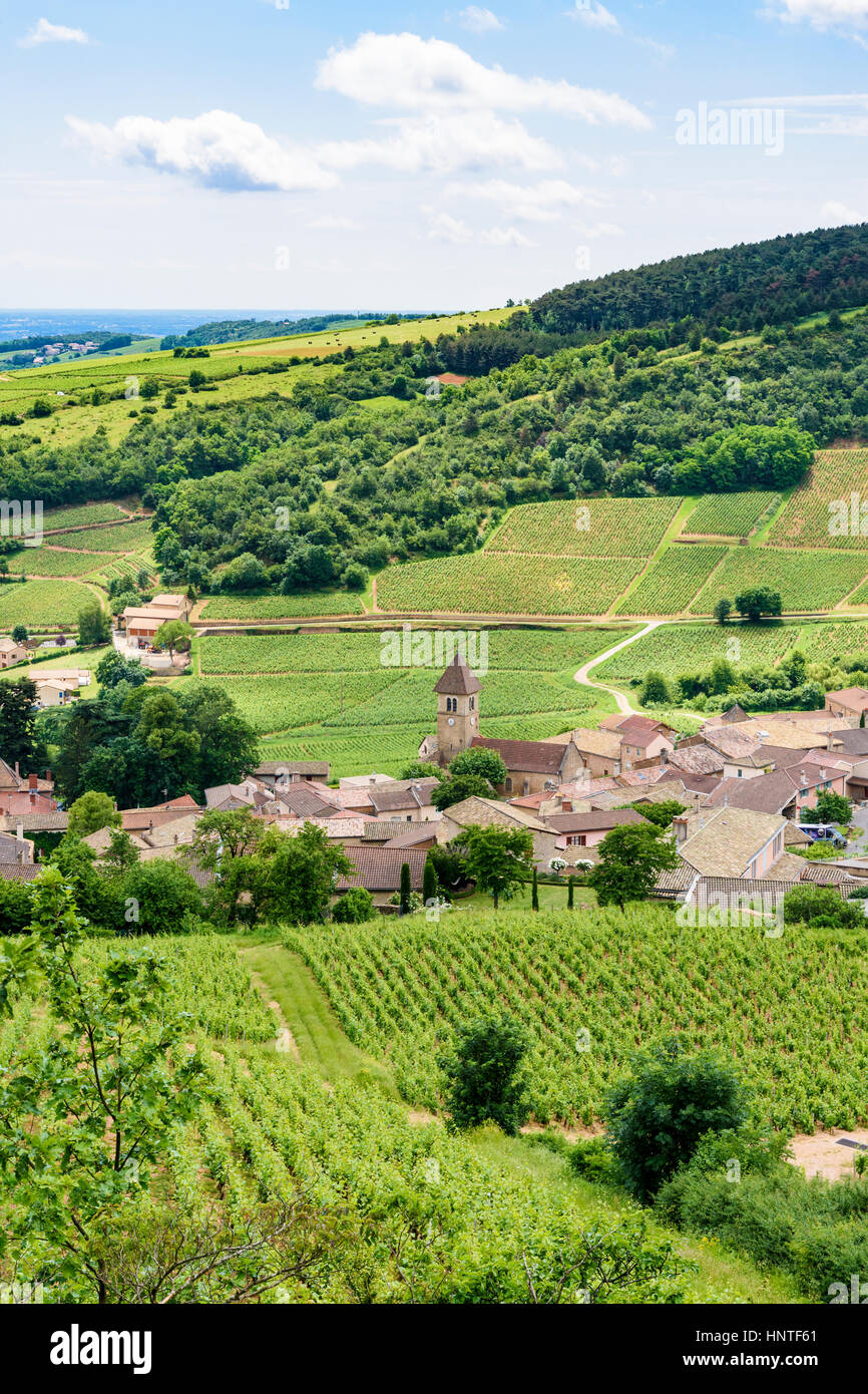 Die kleine Stadt von Solutré-Pouilly und seine Weinberge im südlichen Burgund Bourgogne-Franche-Comté, Frankreich Stockfoto