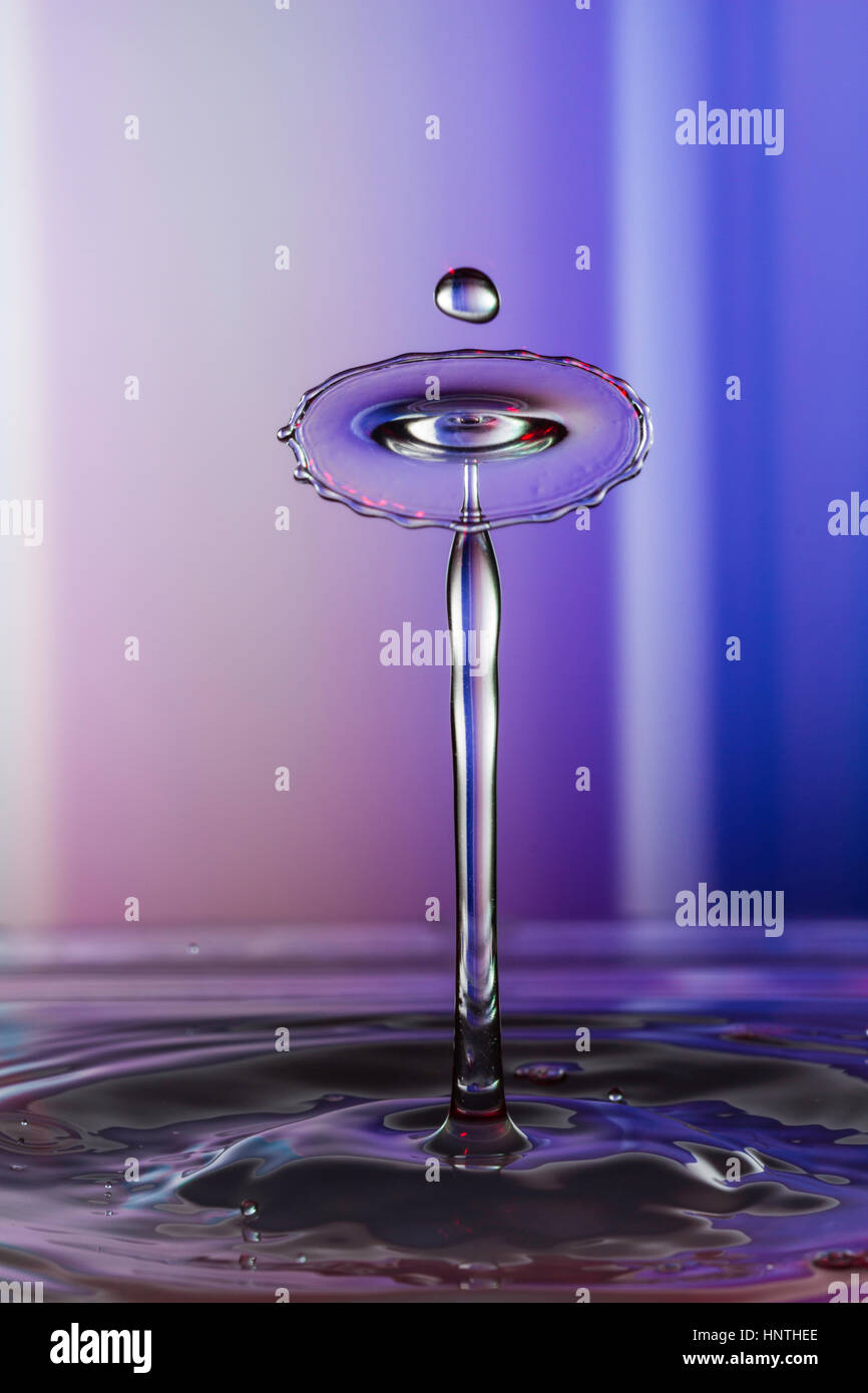 Flüssige Kunst, die Studie eines Flüssigkeitstropfens Formen von Fluiddynamik erstellen Stockfoto