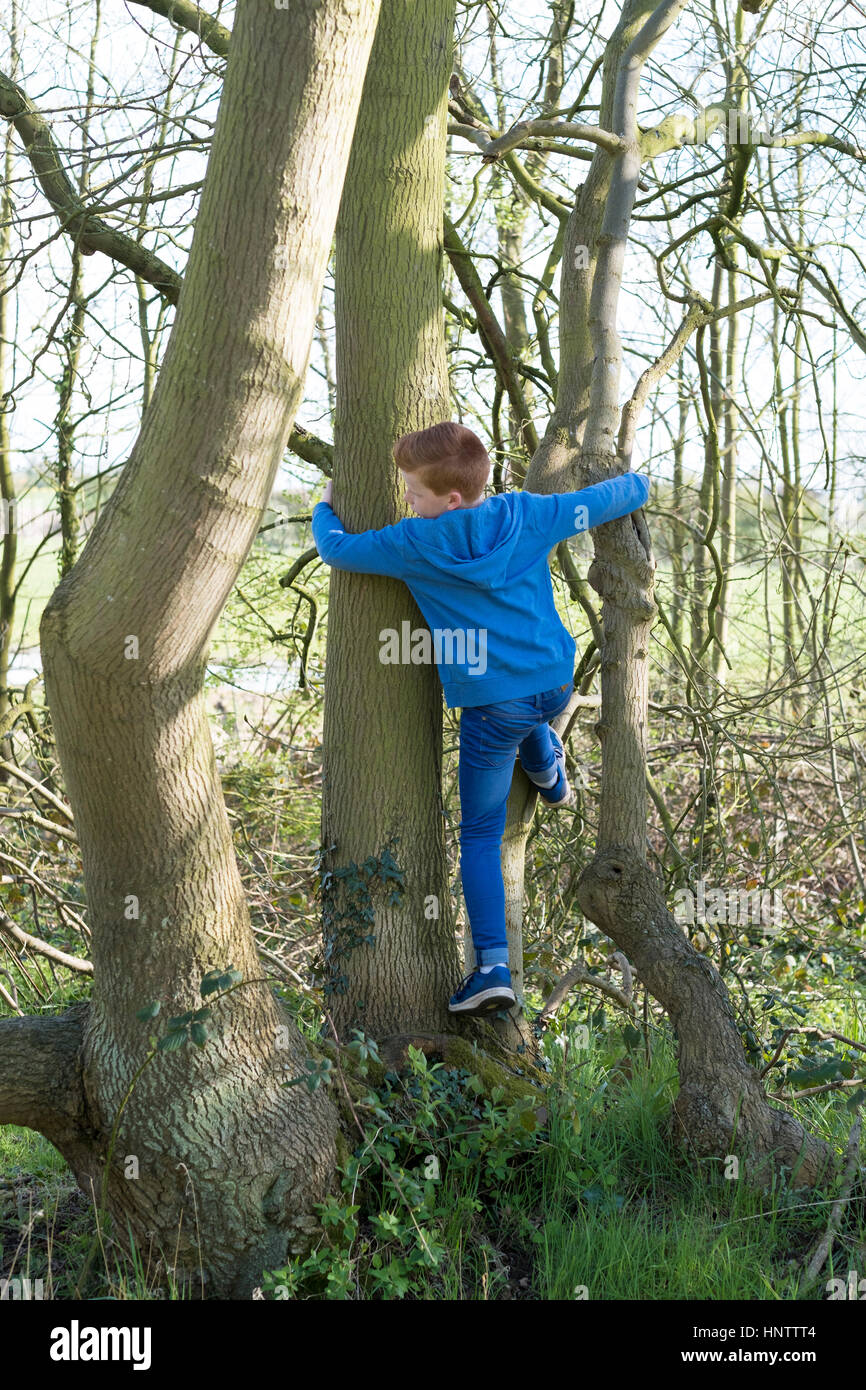 Ein junger Teenager Kletterbaum auf dem Lande Stockfoto