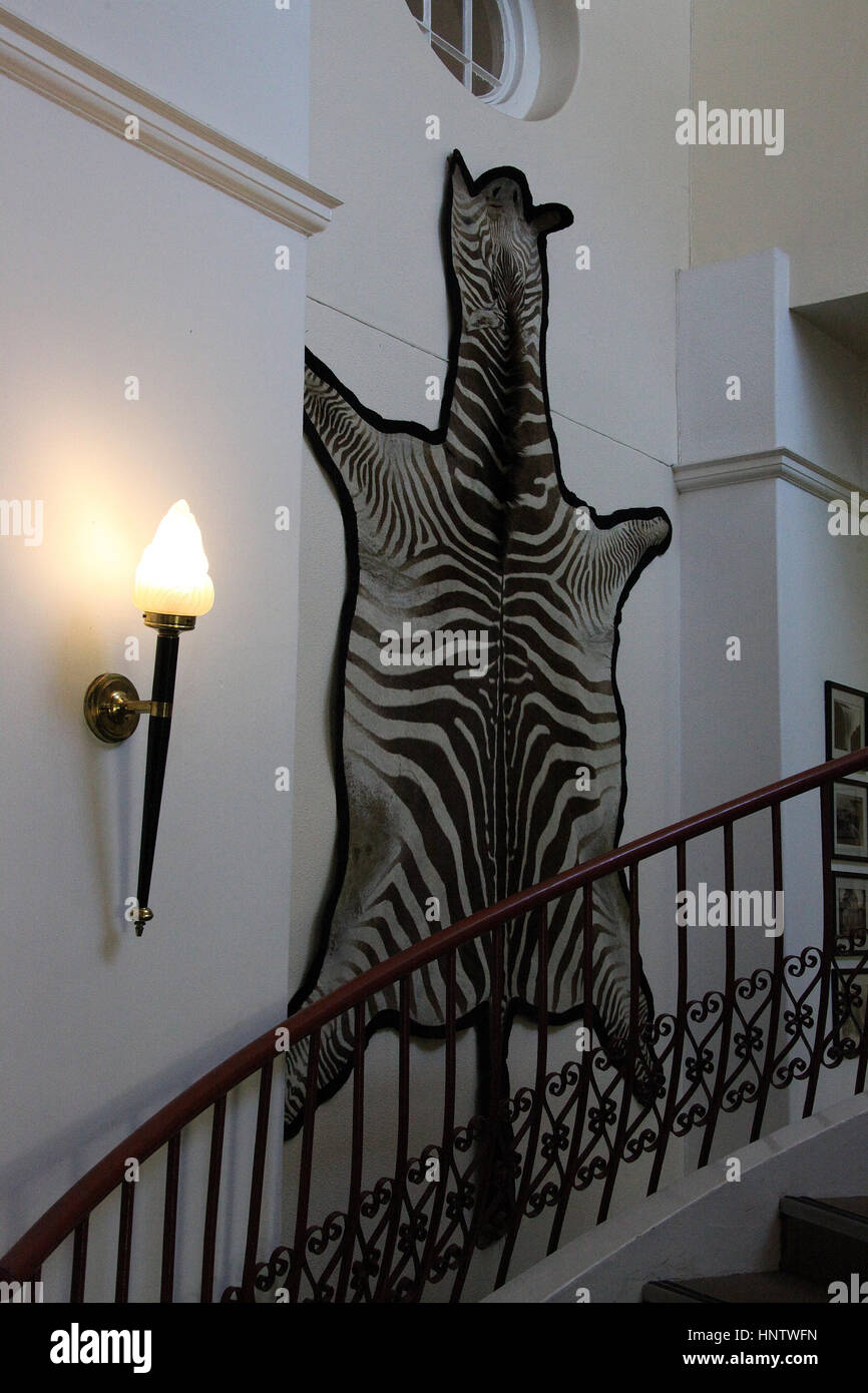 Zebra Skin Rug Stockfotos und bilder Kaufen Alamy