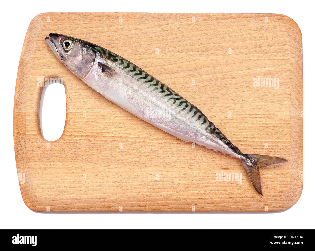 Frische Makrele Fisch Verlegung auf hölzernen Hackstock Brett, Isolated on White Background Stockfoto
