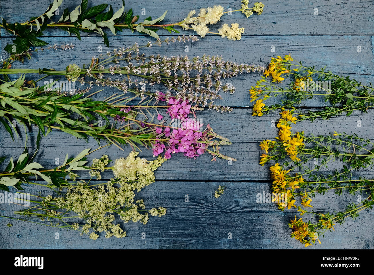 Mehrfarbige Blumen Verlegung auf Holztisch Stockfoto