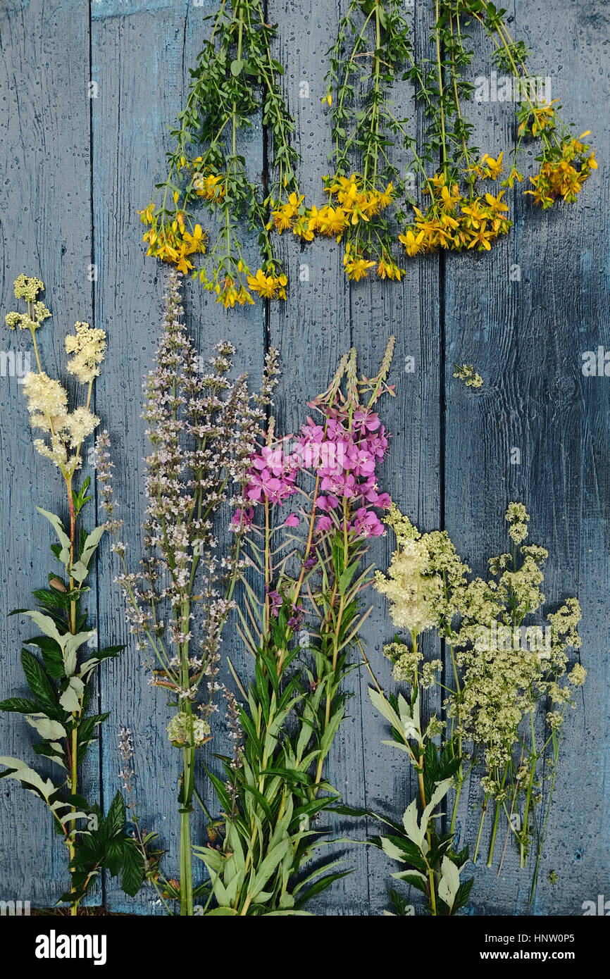 Mehrfarbige Blumen Verlegung auf Holztisch Stockfoto
