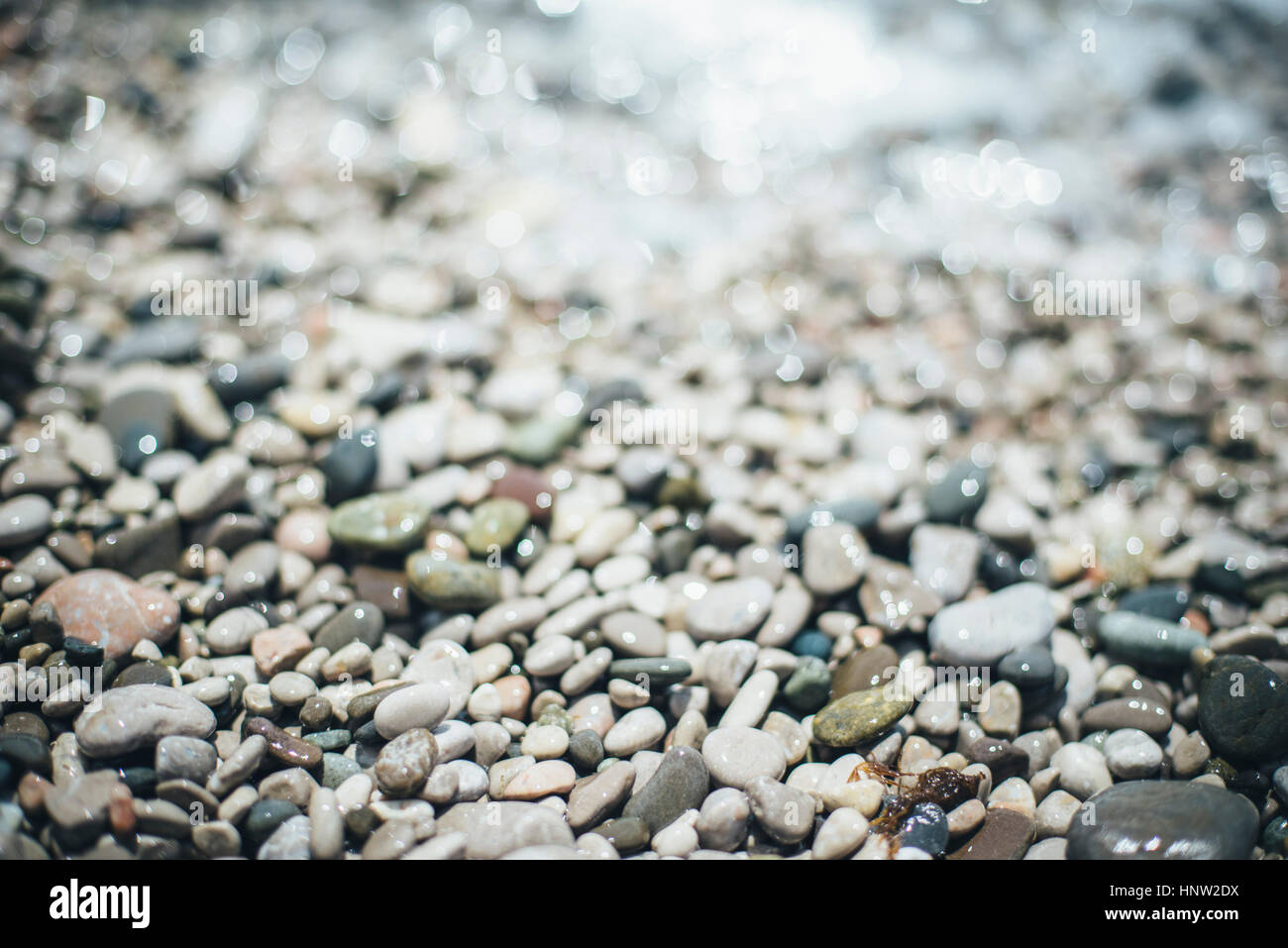 Nasse Kieselsteine am Strand Stockfoto