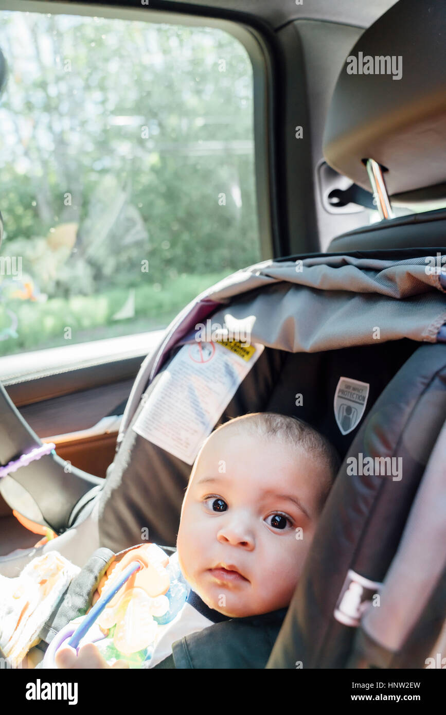 Porträt der neugierige Mischlinge Babyjungen in Autositz Stockfoto