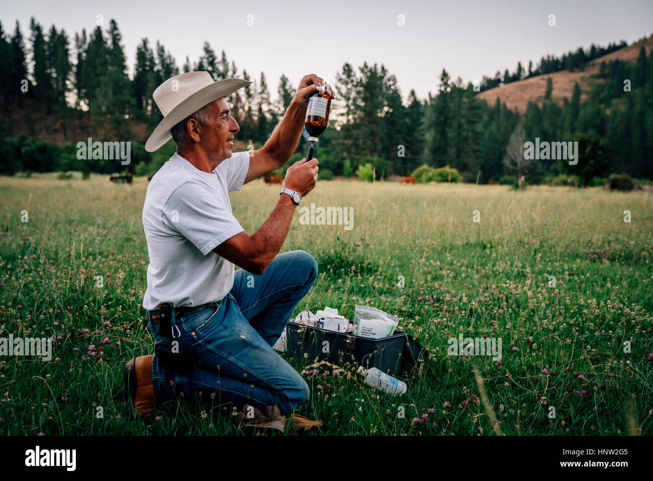 Kaukasische Landwirt Vorbereitung Impfstoff in Spritze Stockfoto