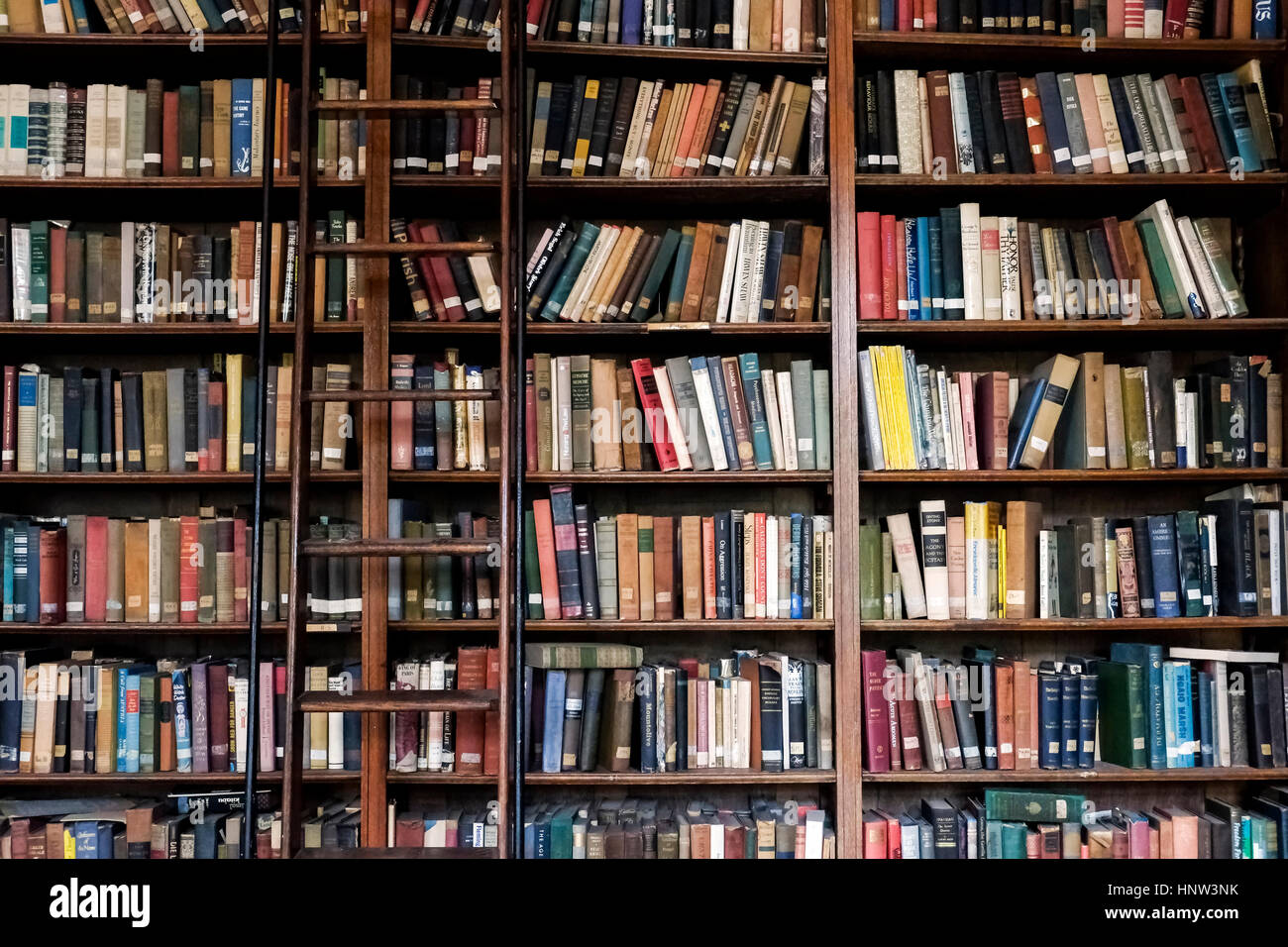 Leiter auf Bibliothek Bücherregal Stockfoto