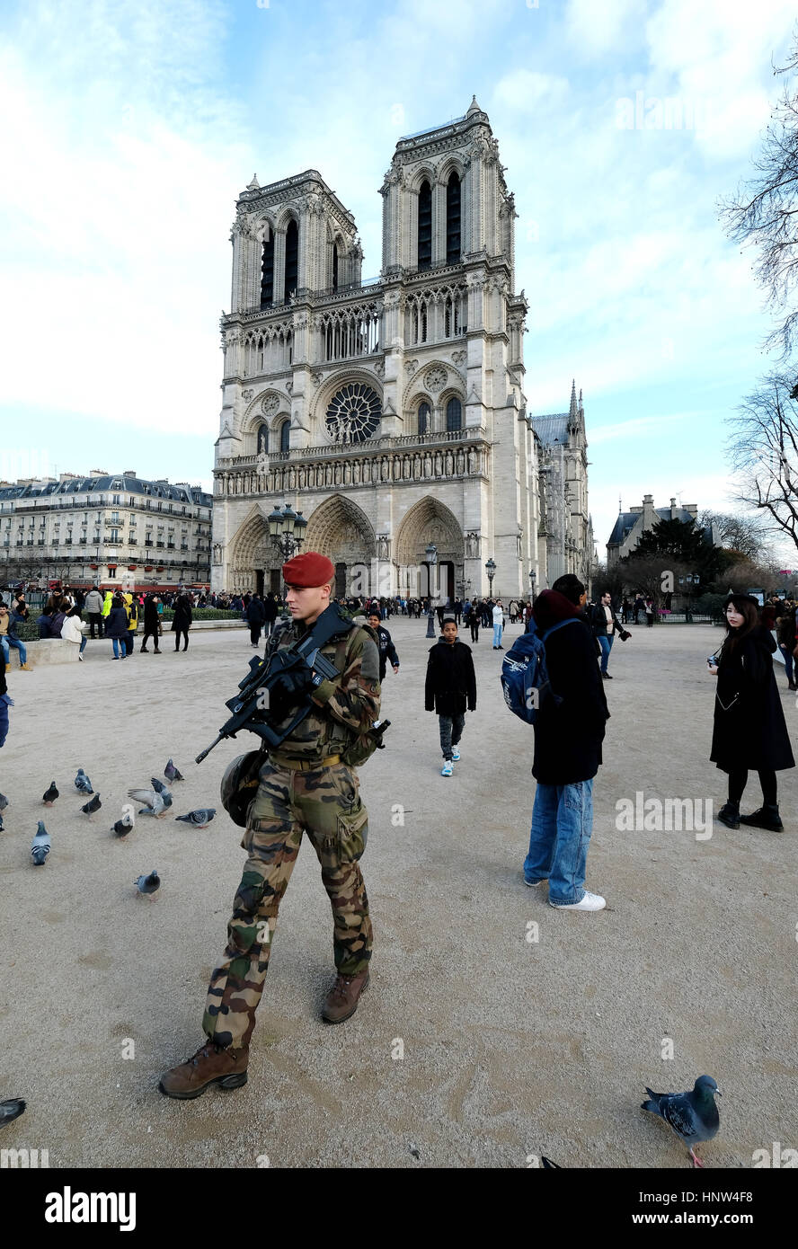 Ein französischer Soldat auf Patrouille vor der Kathedrale Notre Dame auf der Ile De La Cite, Paris, Frankreich. Stockfoto