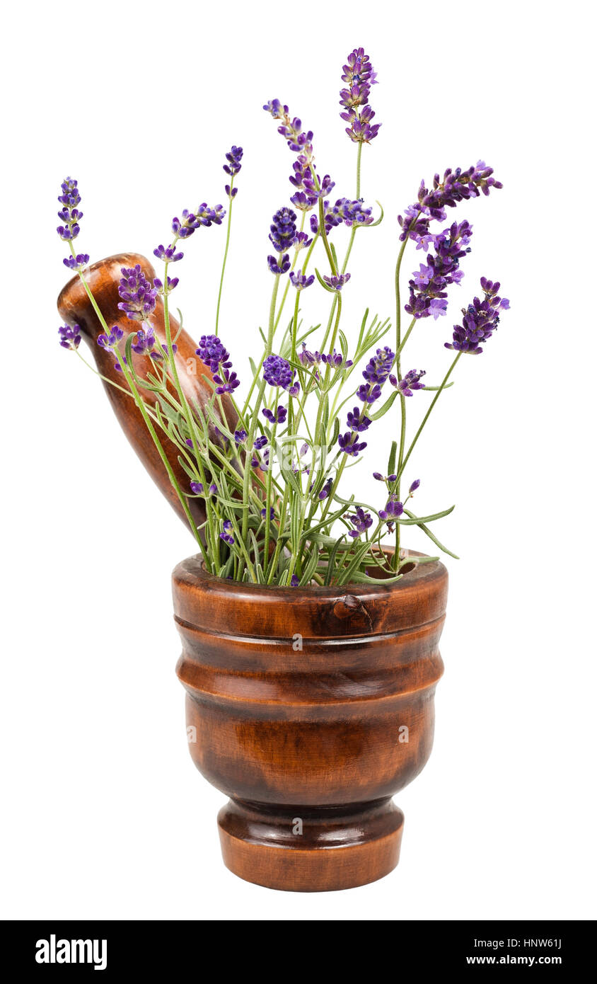 Lavendel in einem Mörser, isoliert auf weiss Stockfoto