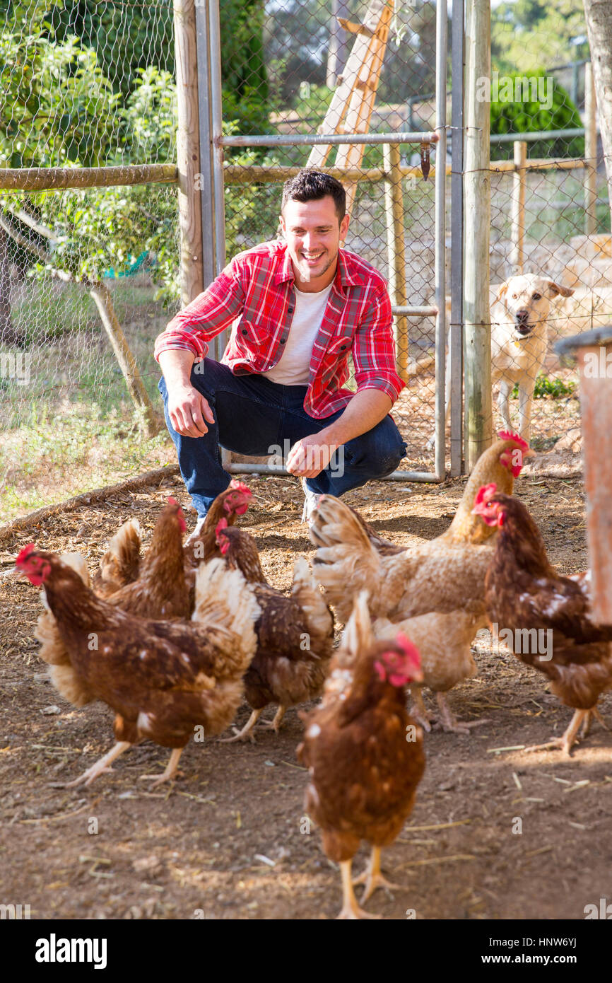 Bio-Landwirt tendenziell von freilaufenden Hühnern Stockfoto
