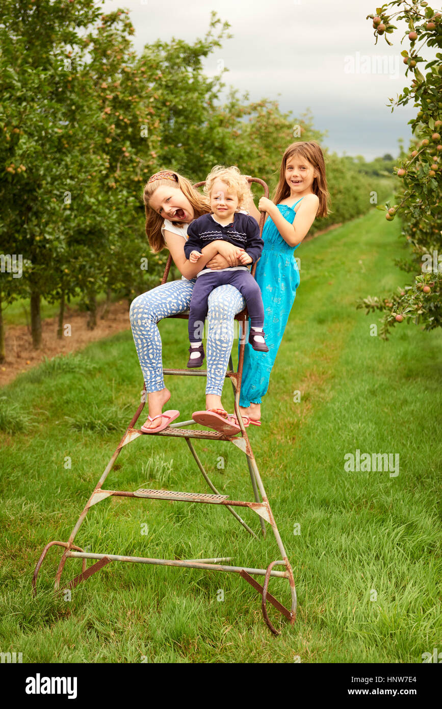 Geschwister auf Trittleiter im Apfelgarten Stockfoto