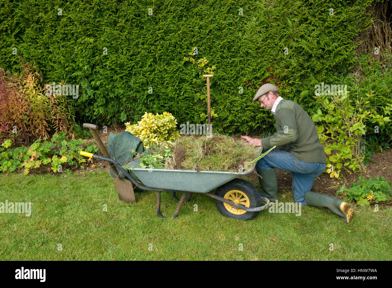 Reifer Mann kniend von Schubkarre Garten Stockfoto