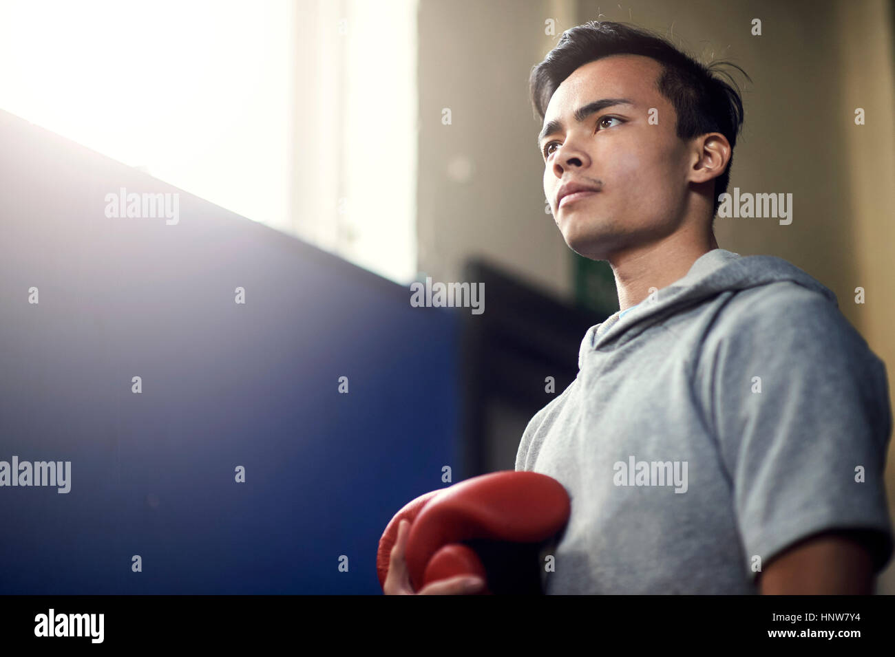 Junge männliche Boxer hält Boxhandschuhe im Fitness-Studio Stockfoto