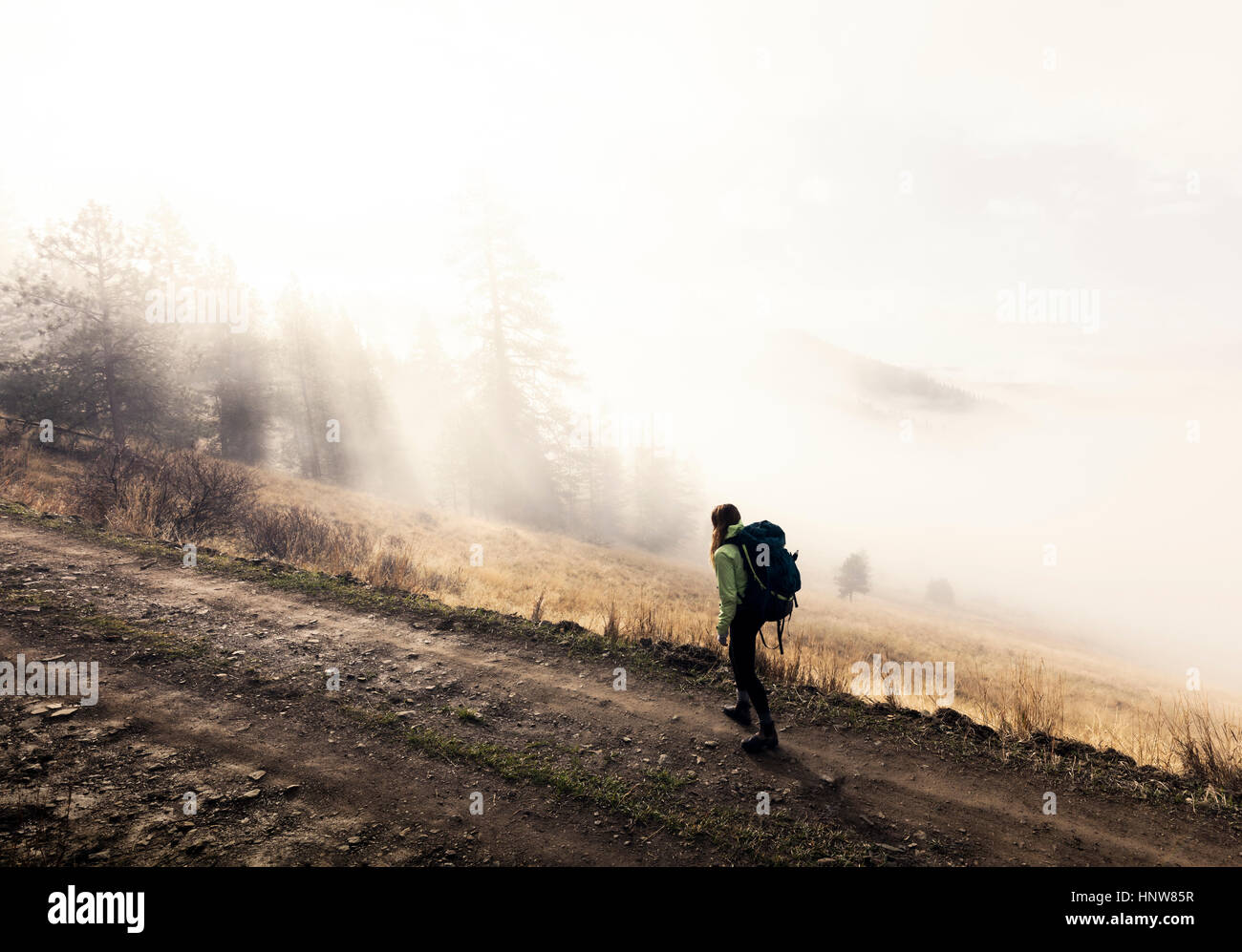 Junge Frau trekking entlang Weg, Missoula, Montana, USA Stockfoto