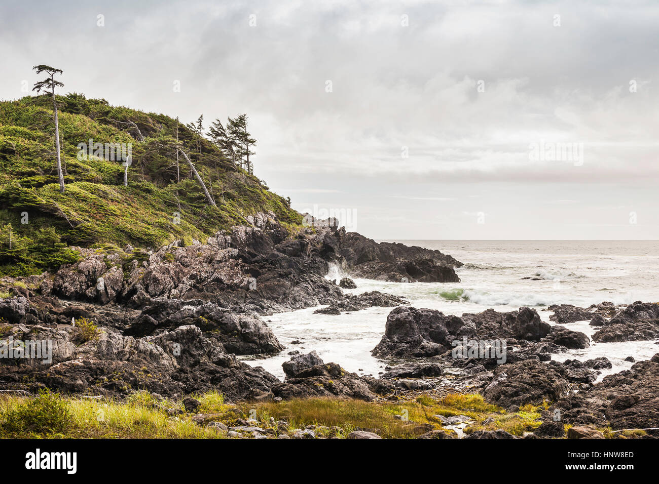 Schroffe Küstenlandschaft, Wild Pacific Trail, Vancouver Island, British Columbia, Kanada Stockfoto