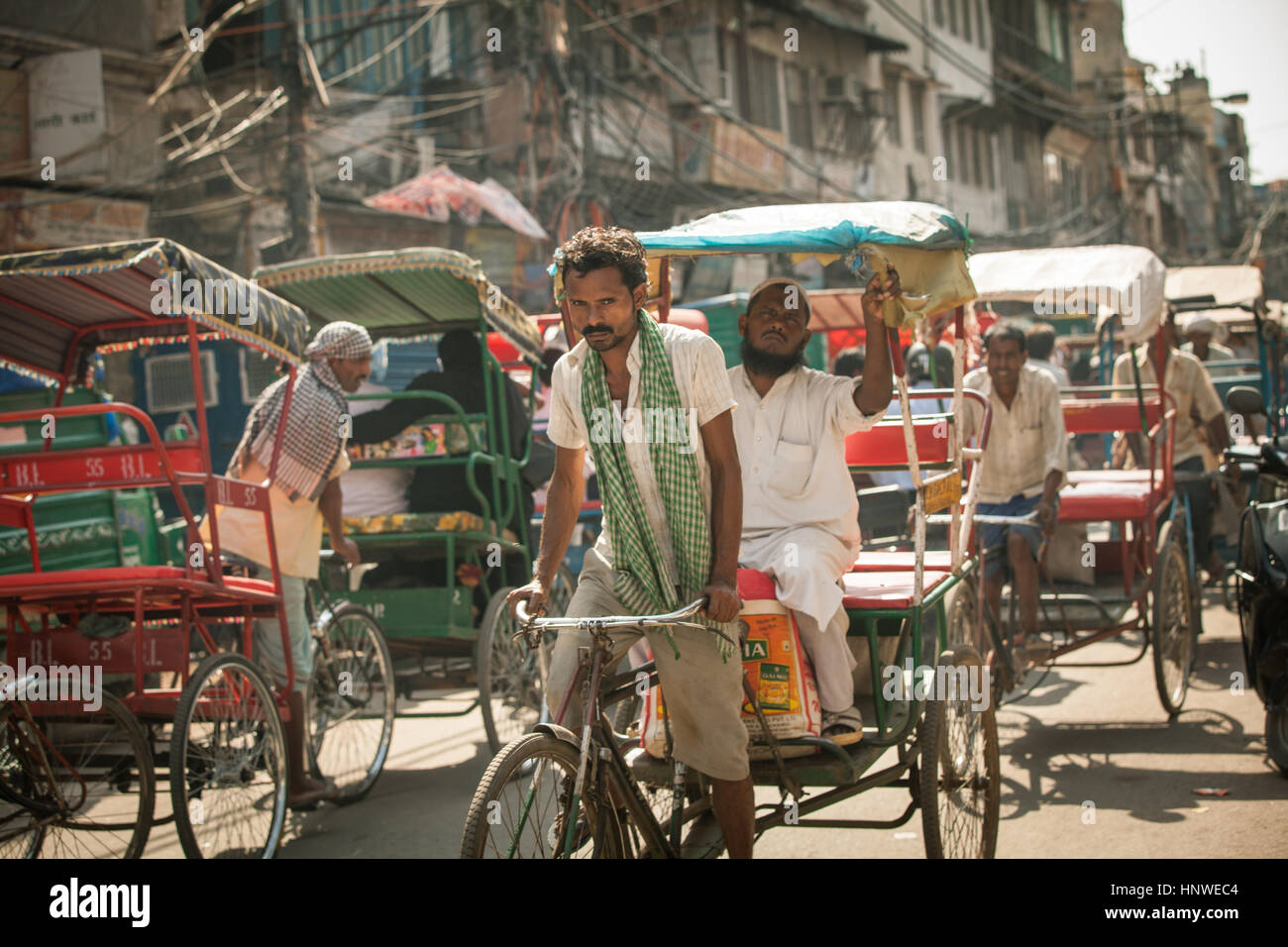 Delhi, Indien - 18. September 2014: Fahrradrikscha fahren das Fahrzeug unter der Hitze auf der Straße von Alt-Delhi, Indien am 18. September 2014. Stockfoto