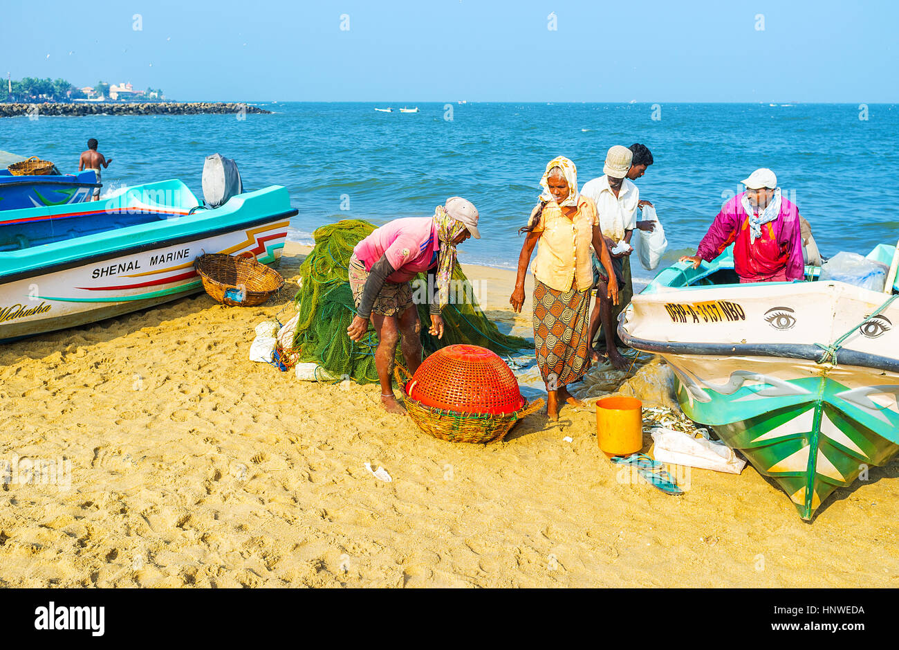 NEGOMBO, SRI LANKA - 25. November 2016: Der Fang des das Fischerteam passt in einen Korb, am 25 November in Negombo. Stockfoto